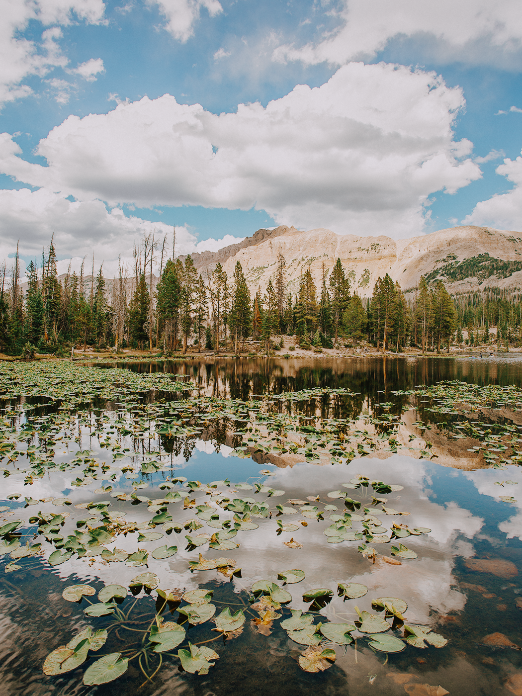 butterfly_lake_2Z7A5951.png