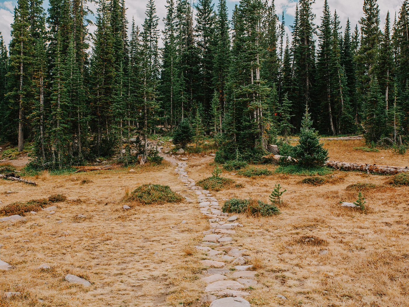 butterfly_lake_2Z7A5964.png