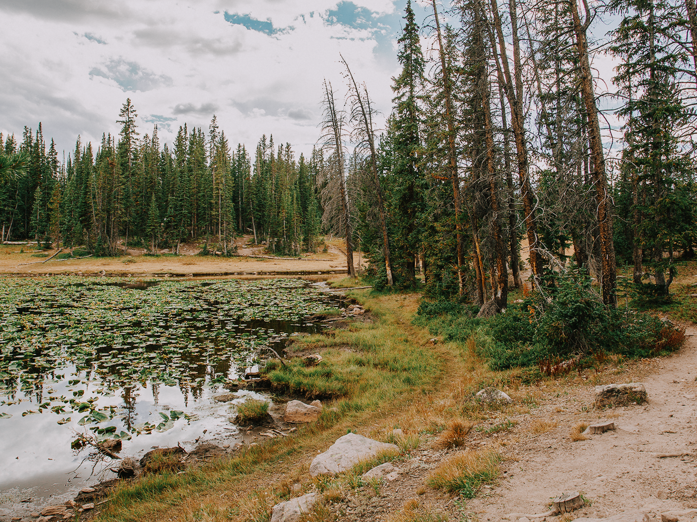 butterfly_lake_2Z7A5973.png