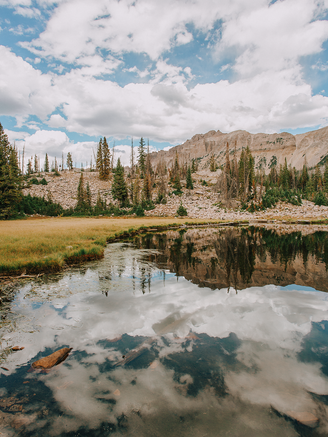 butterfly_lake_2Z7A5984.png