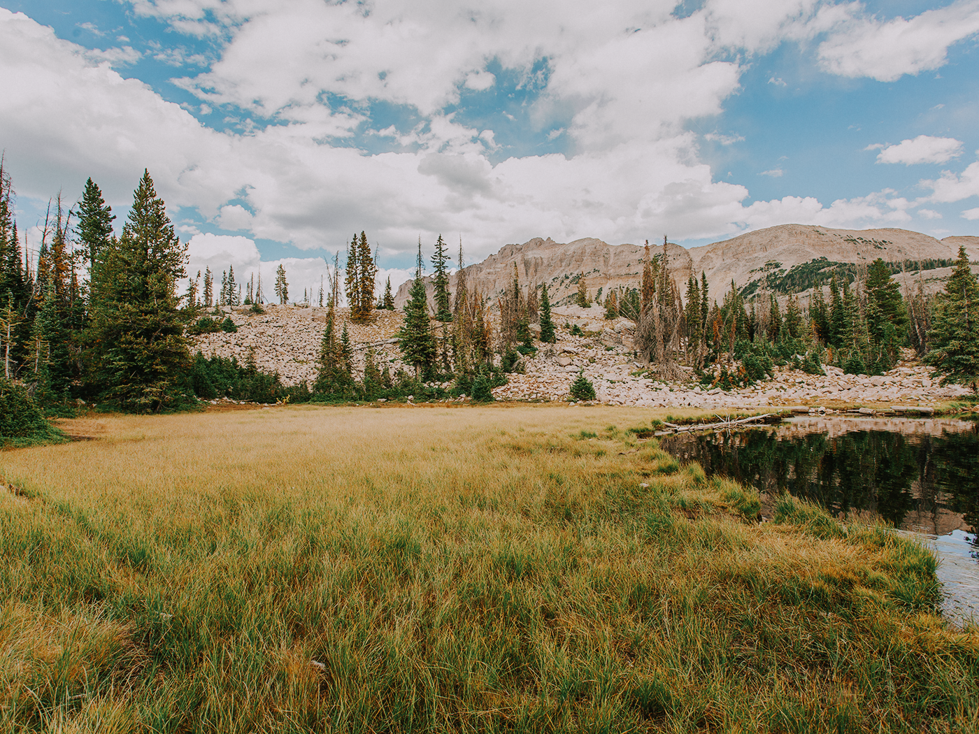 butterfly_lake_2Z7A5990.png