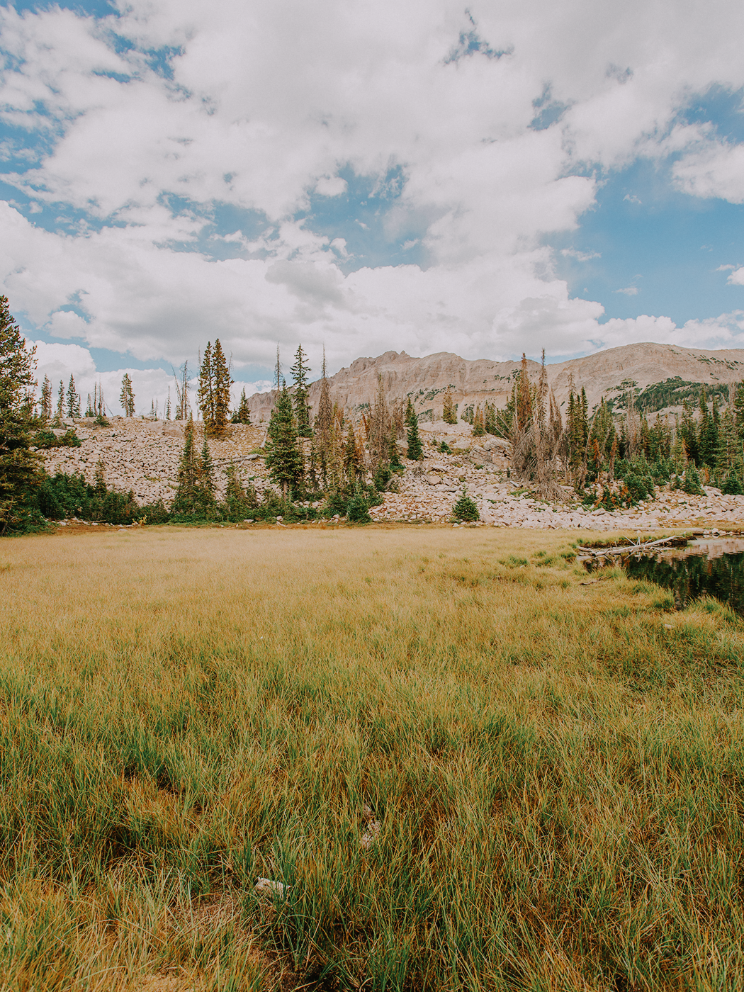 butterfly_lake_2Z7A5991.png