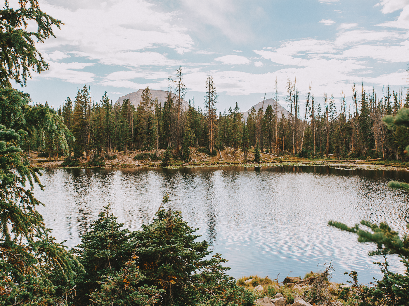 butterfly_lake_2Z7A6013.png