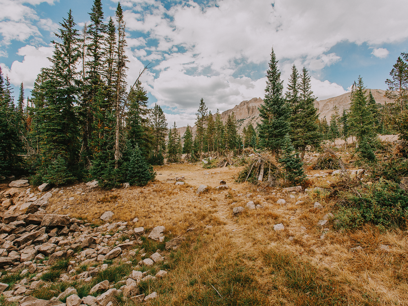 butterfly_lake_2Z7A6015.png