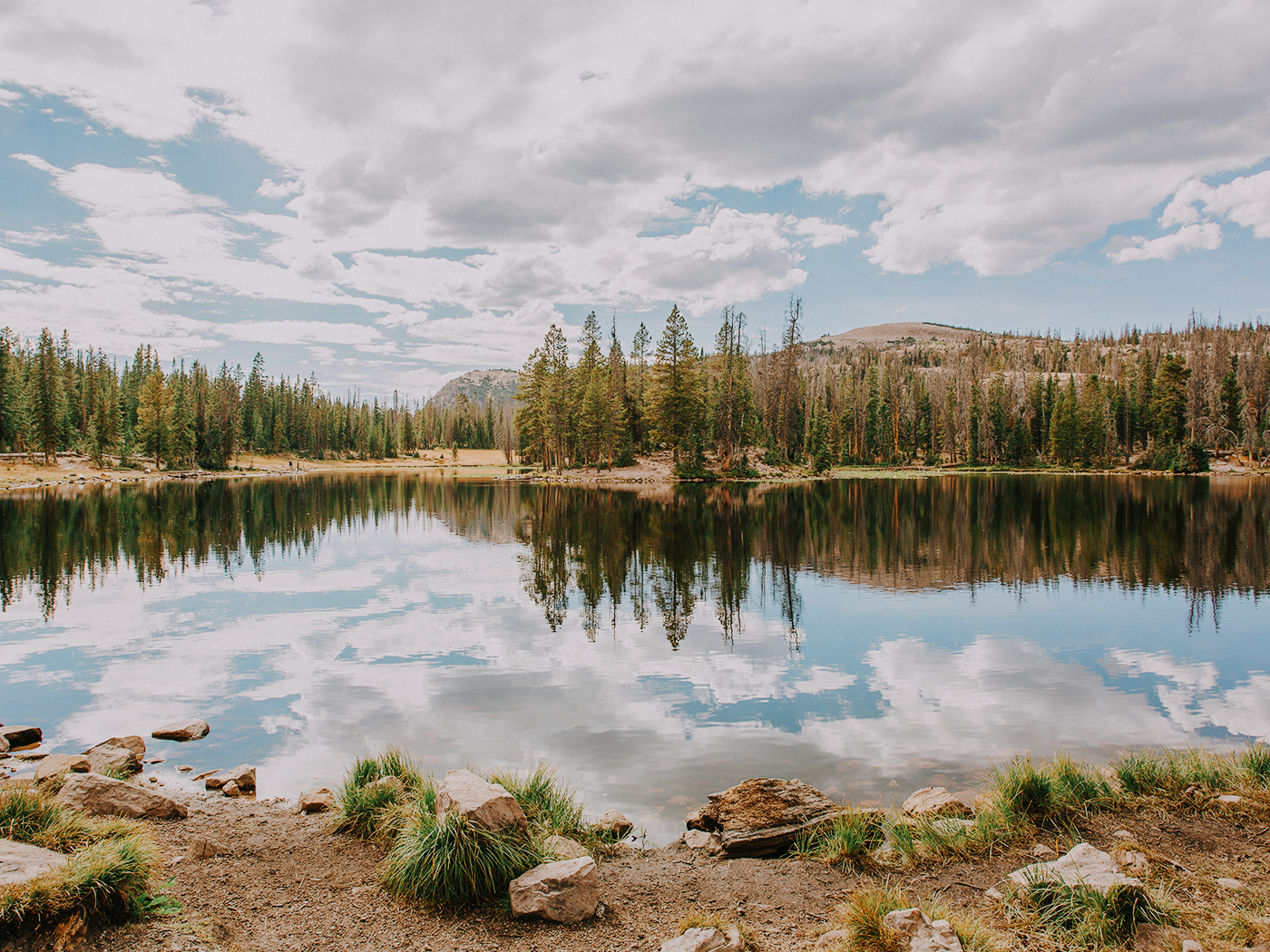 butterfly_lake_2Z7A6024.png