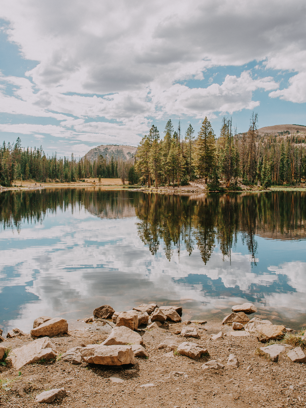 butterfly_lake_2Z7A6046.png