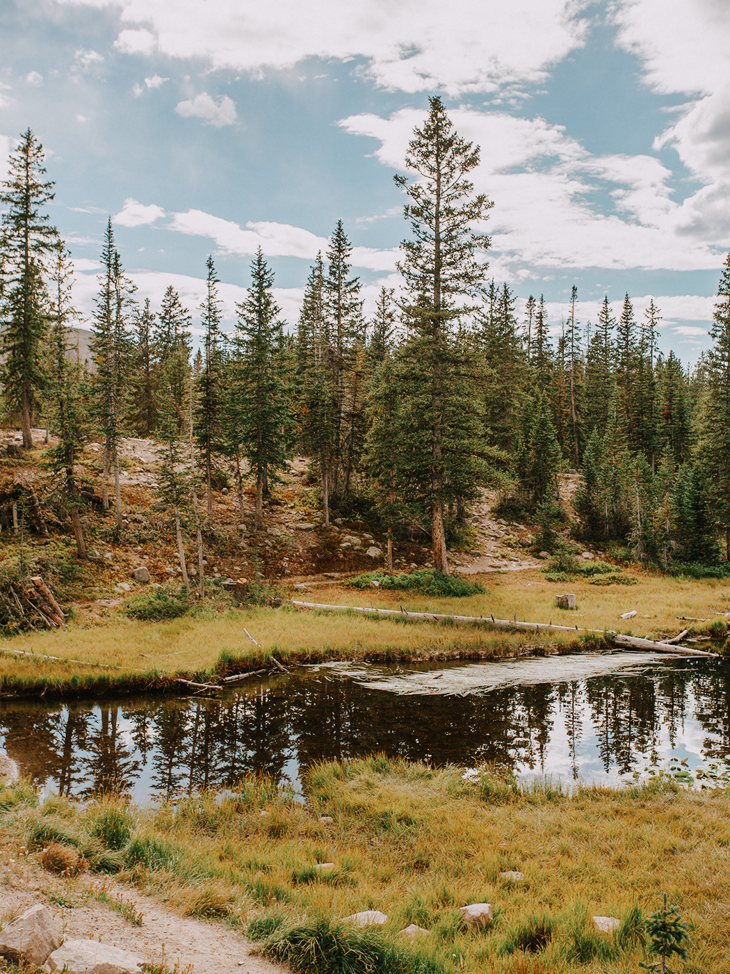 butterfly_lake_2Z7A6047.png