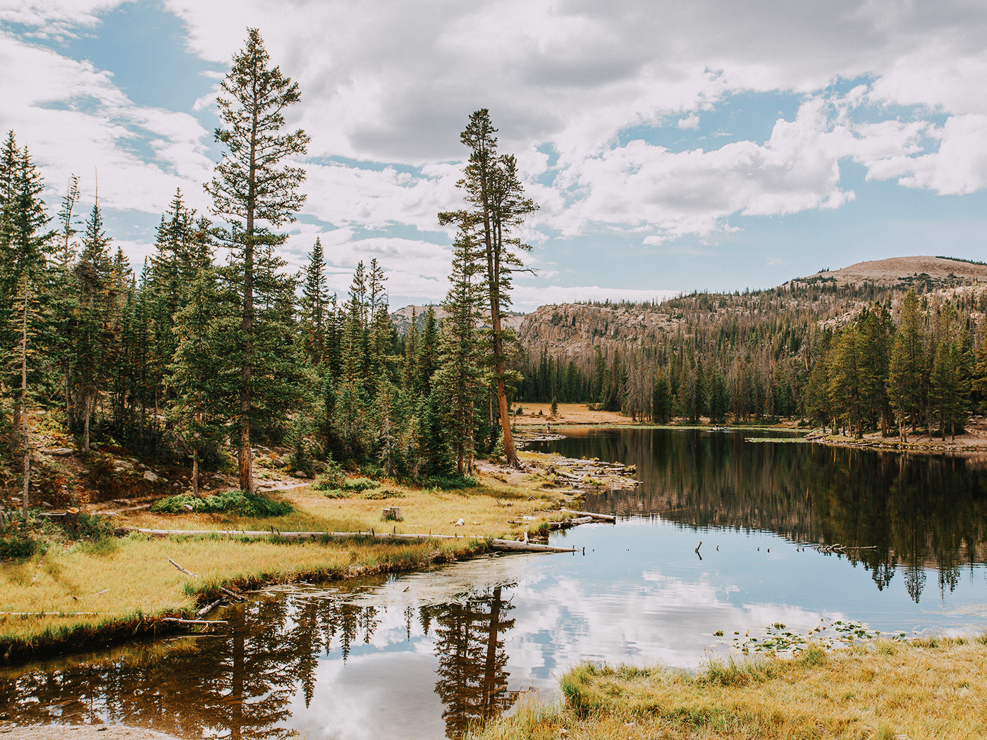 butterfly_lake_2Z7A6049.png