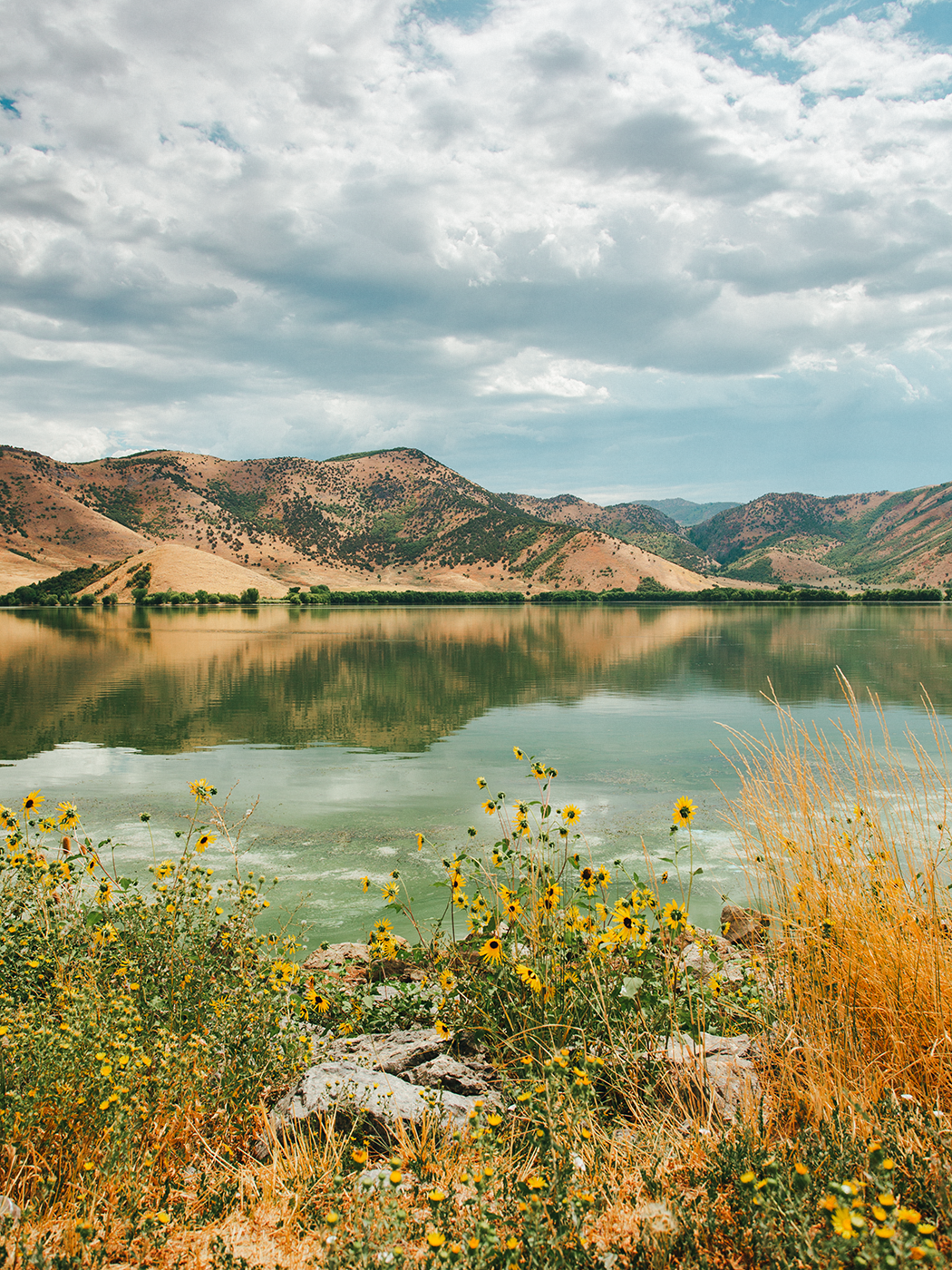august_scenery_2Z7A6755.png