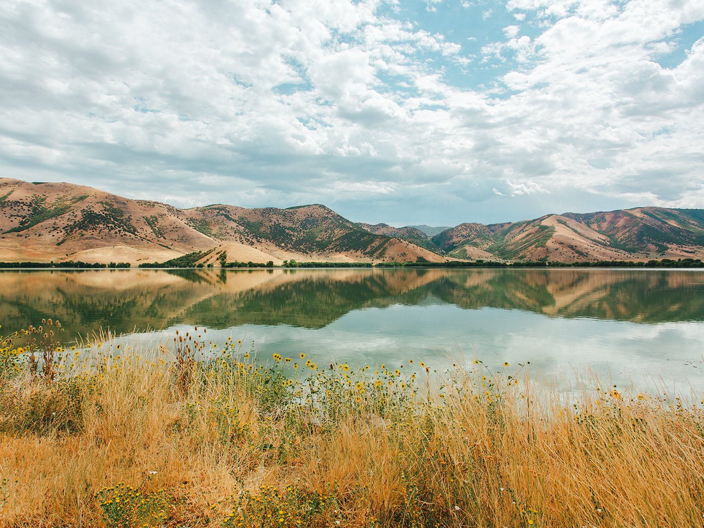 august_scenery_2Z7A6789.png