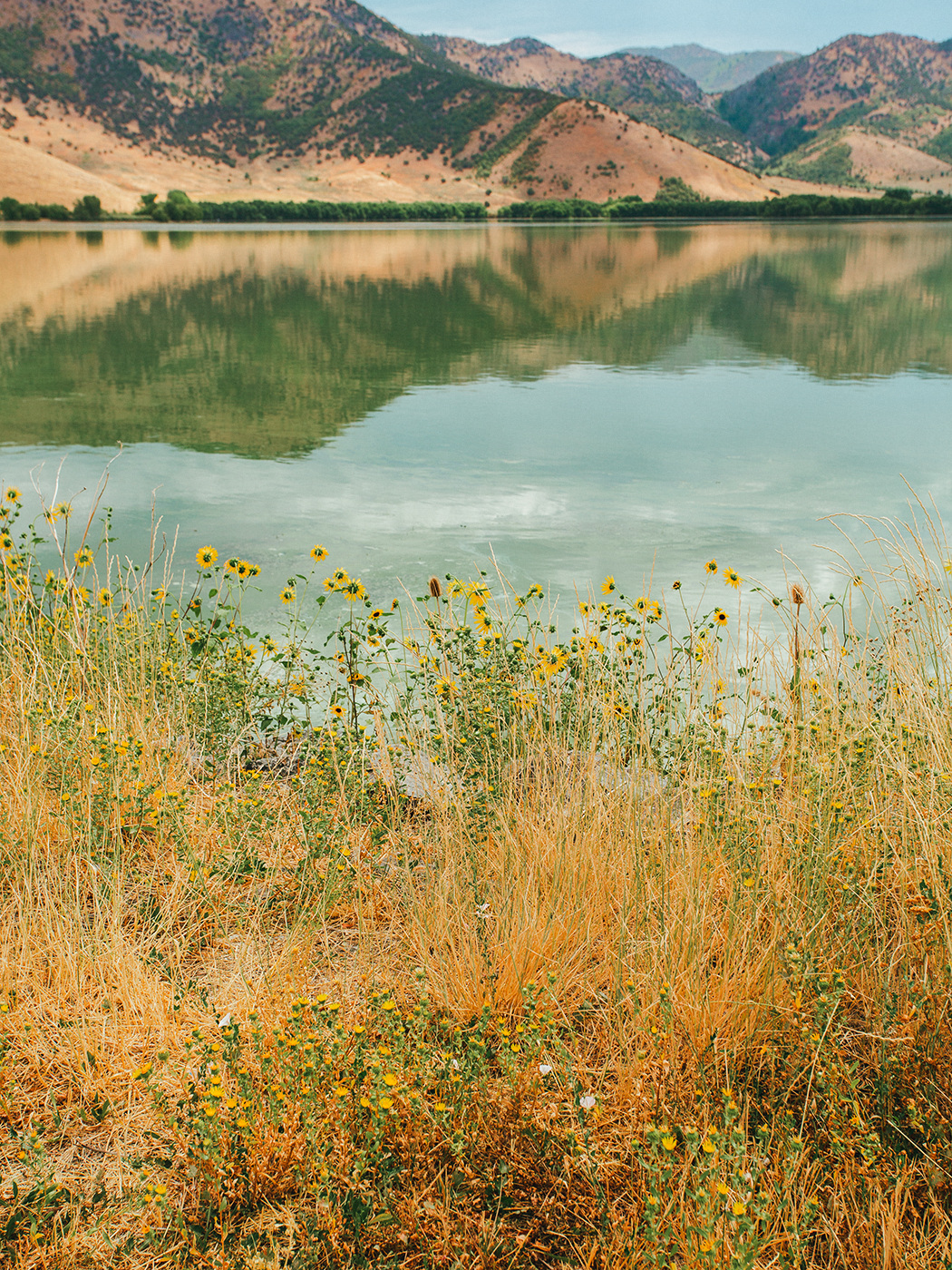 august_scenery_2Z7A6792.png
