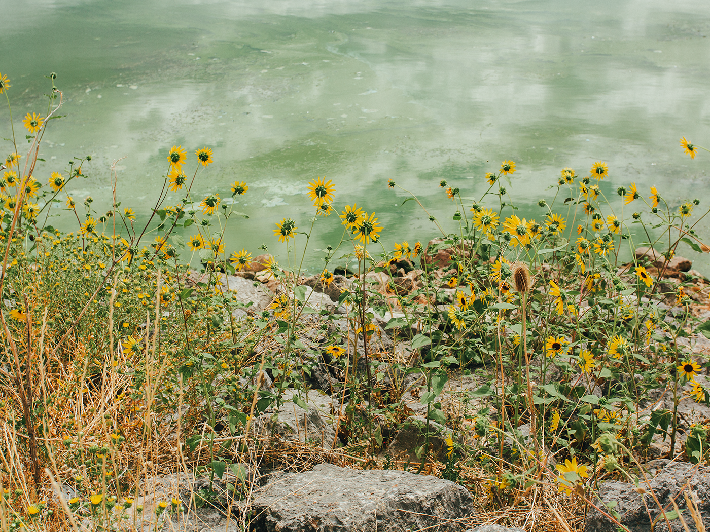 august_scenery_2Z7A6793.png