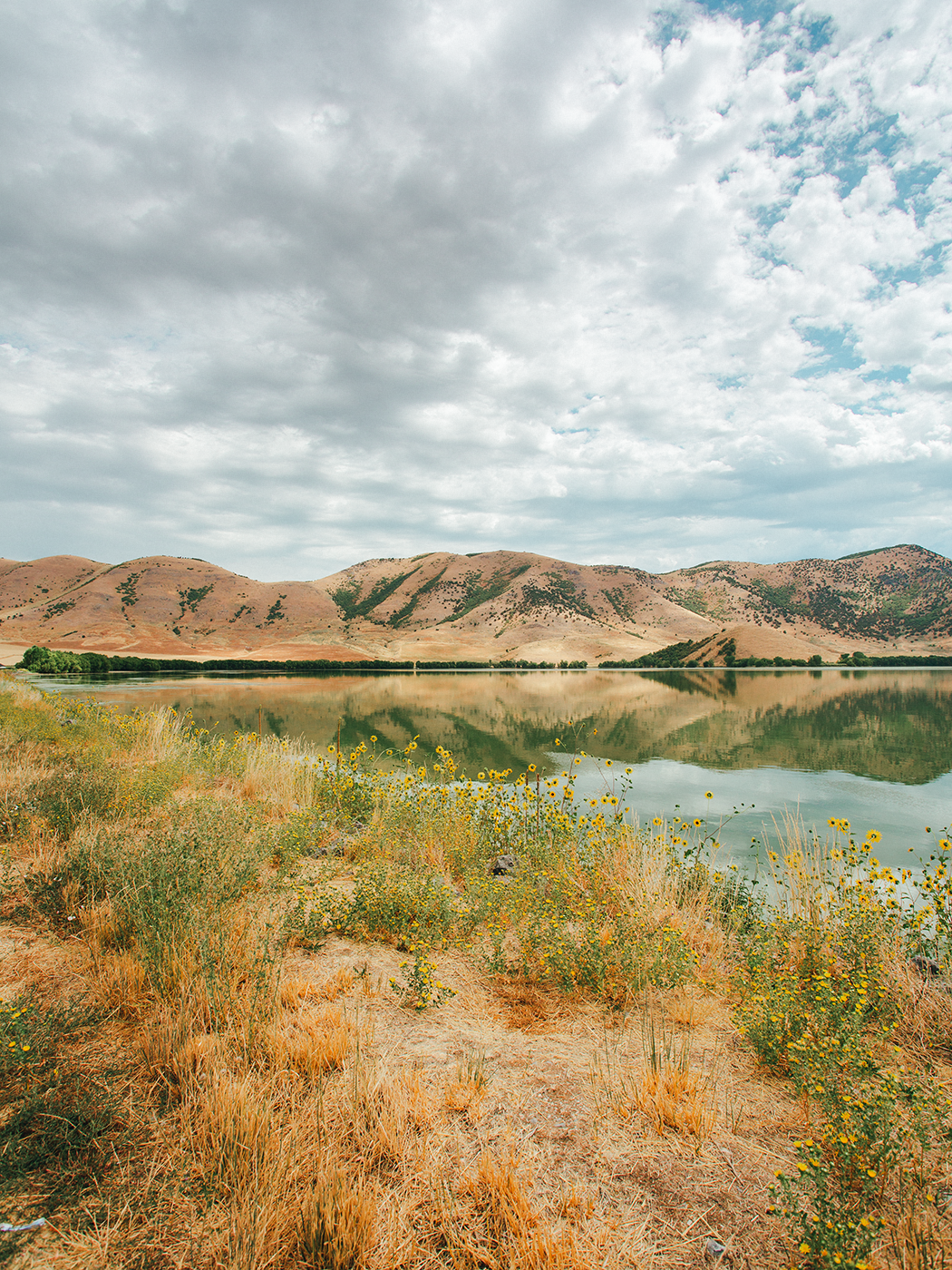 august_scenery_2Z7A6803.png