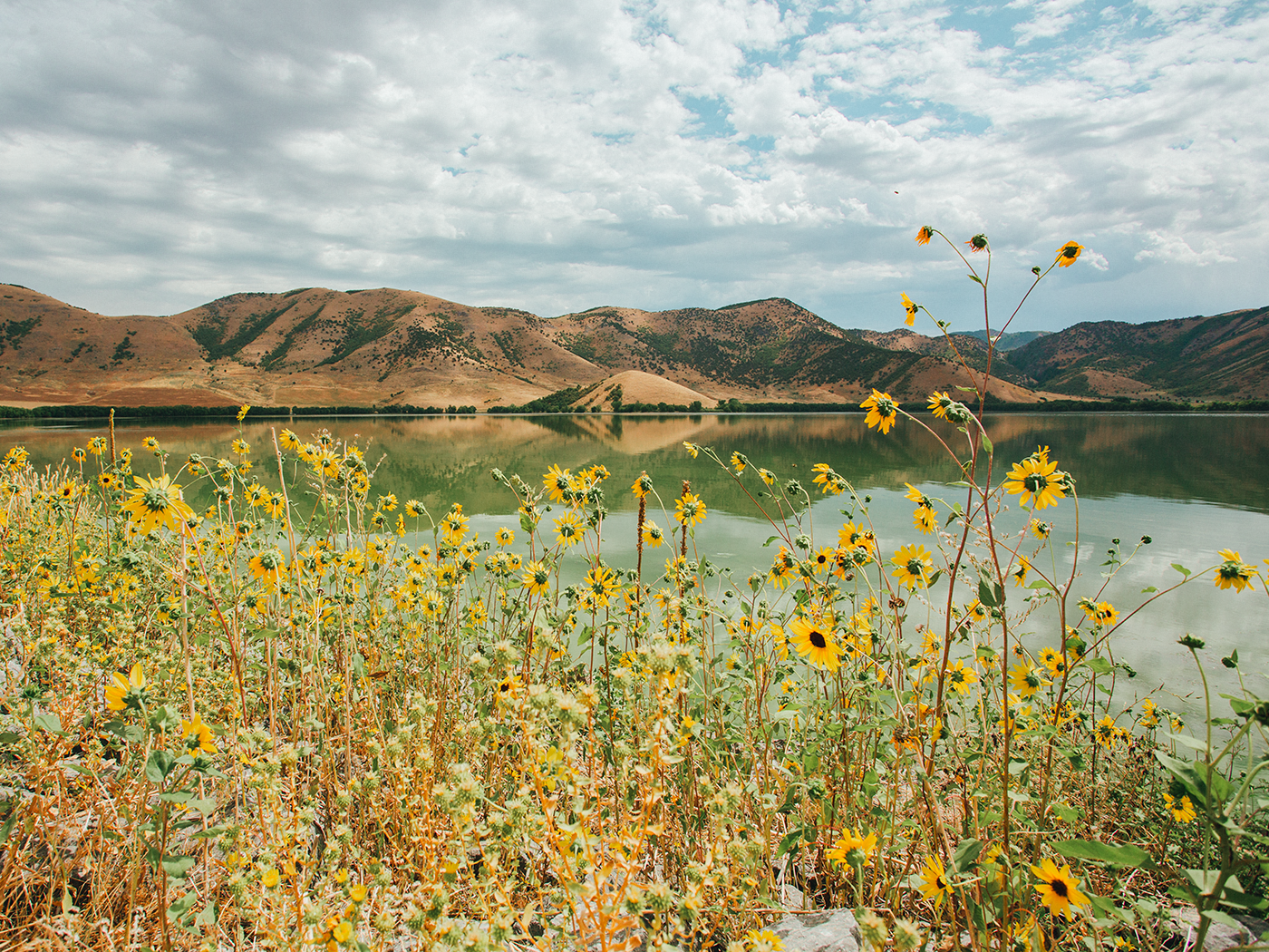 august_scenery_2Z7A6811.png