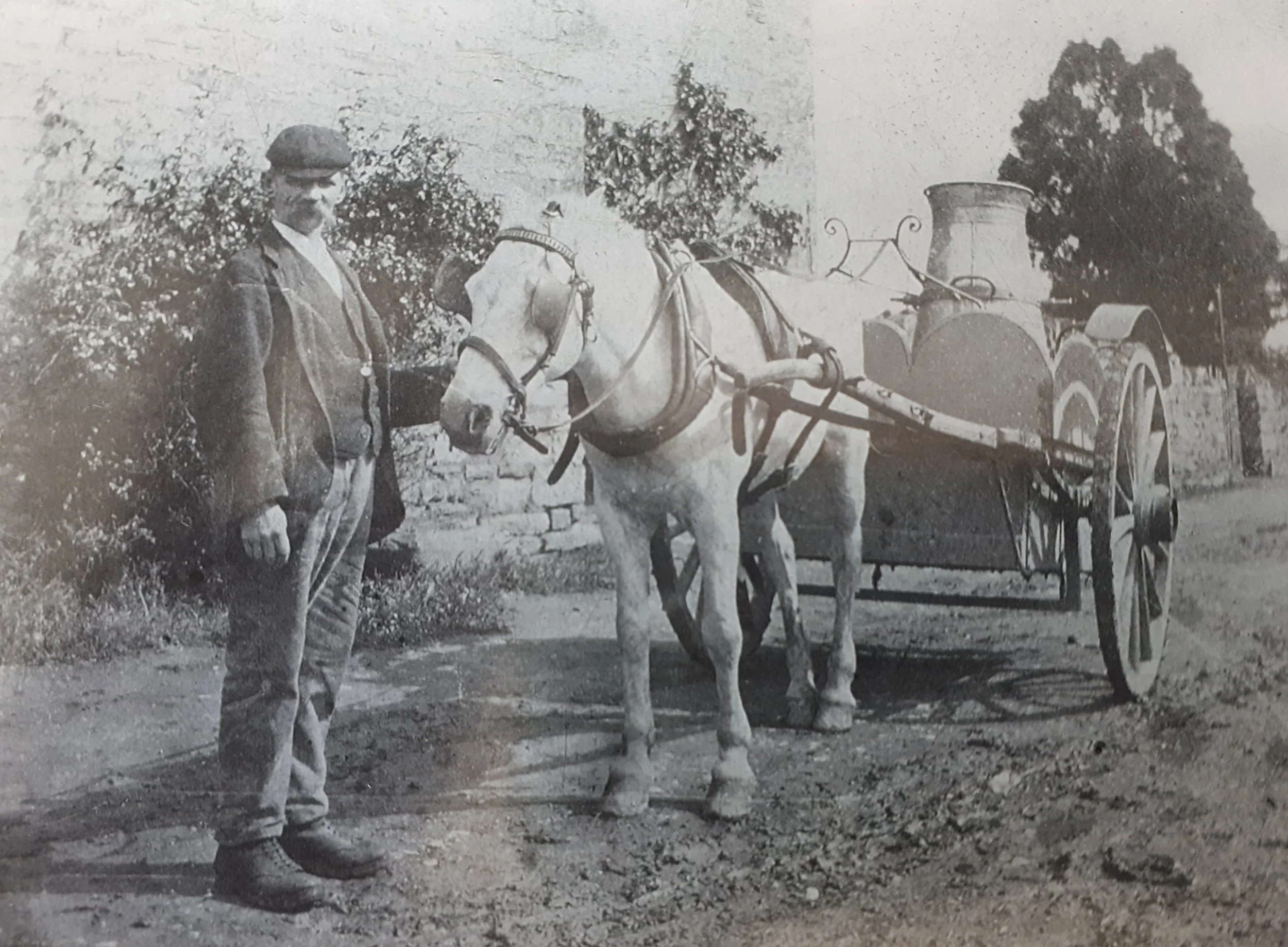 Quietly Rooted: George William Butt (1856-1916)