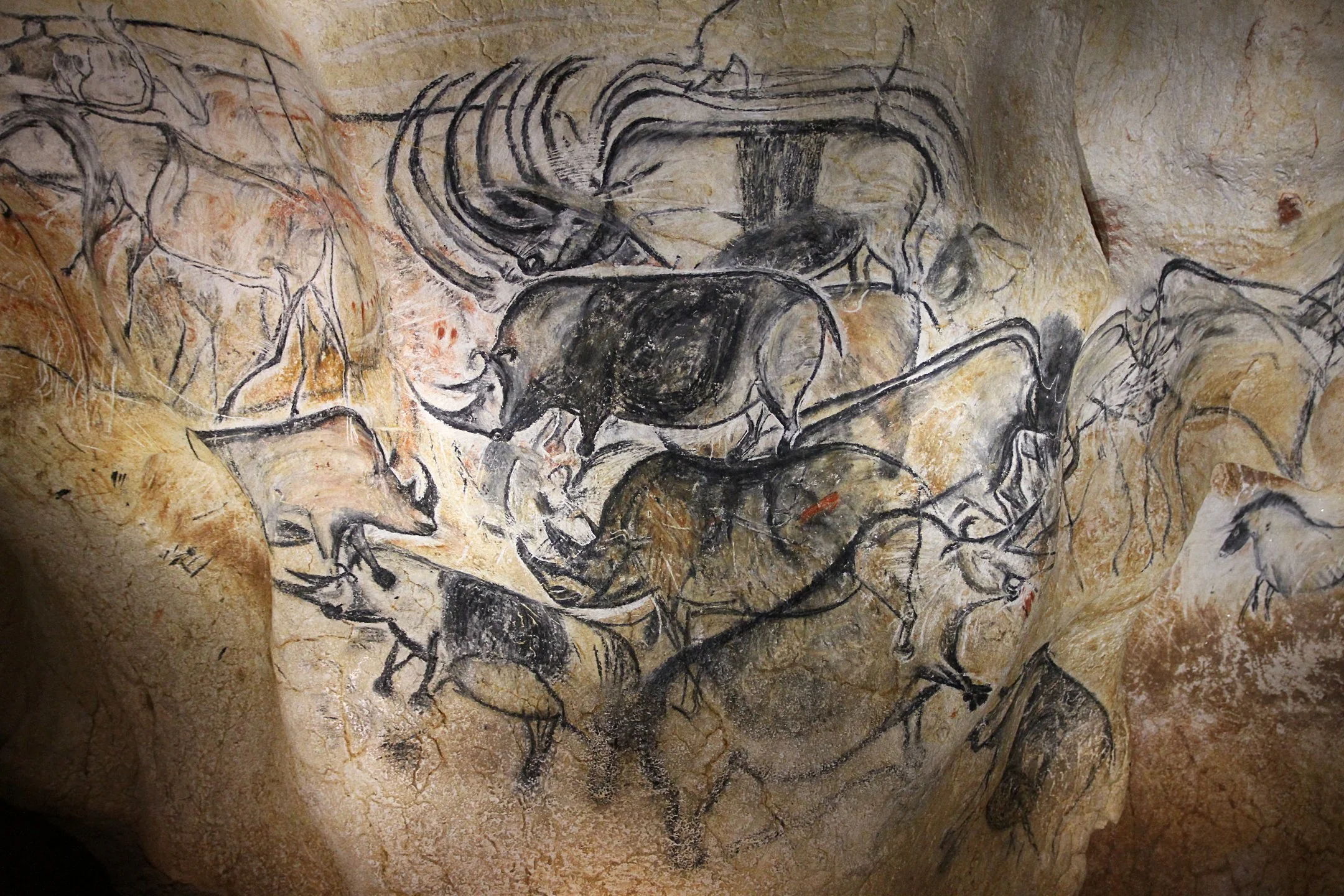 Panel of the Rhinos, Chauvet-Pont-d'Arc Cave, France
