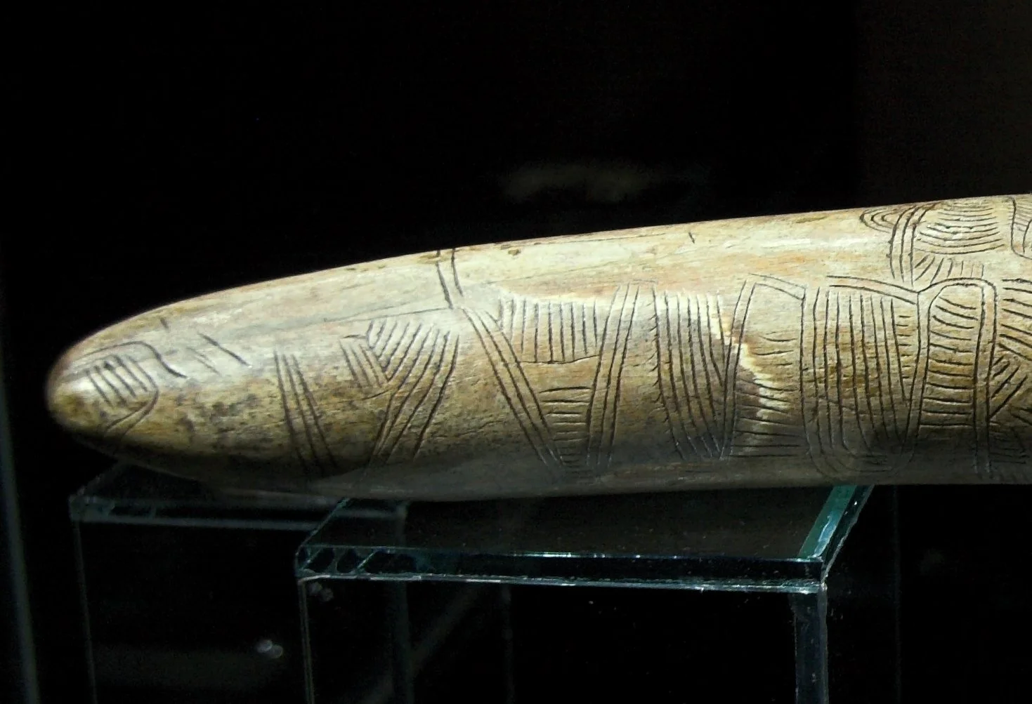 Engraved mammoth tusk from Pavlov, Czech Republic