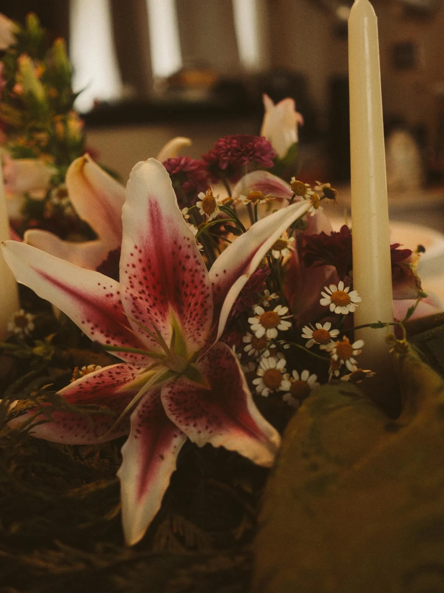 The Christmas season has begun ✨