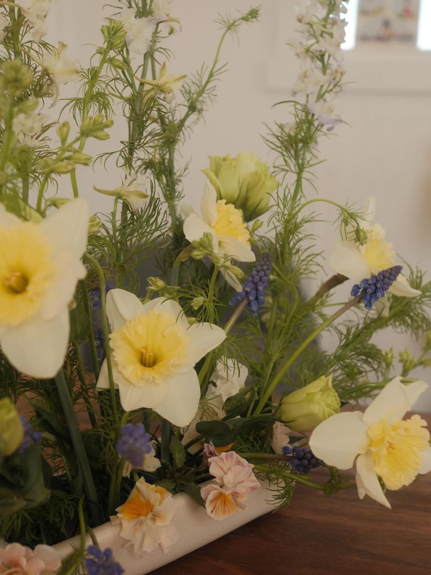 Daffodils! I always forget what varieties I planted in the fall and they never disappoint in the spring! I love the mini ones✨