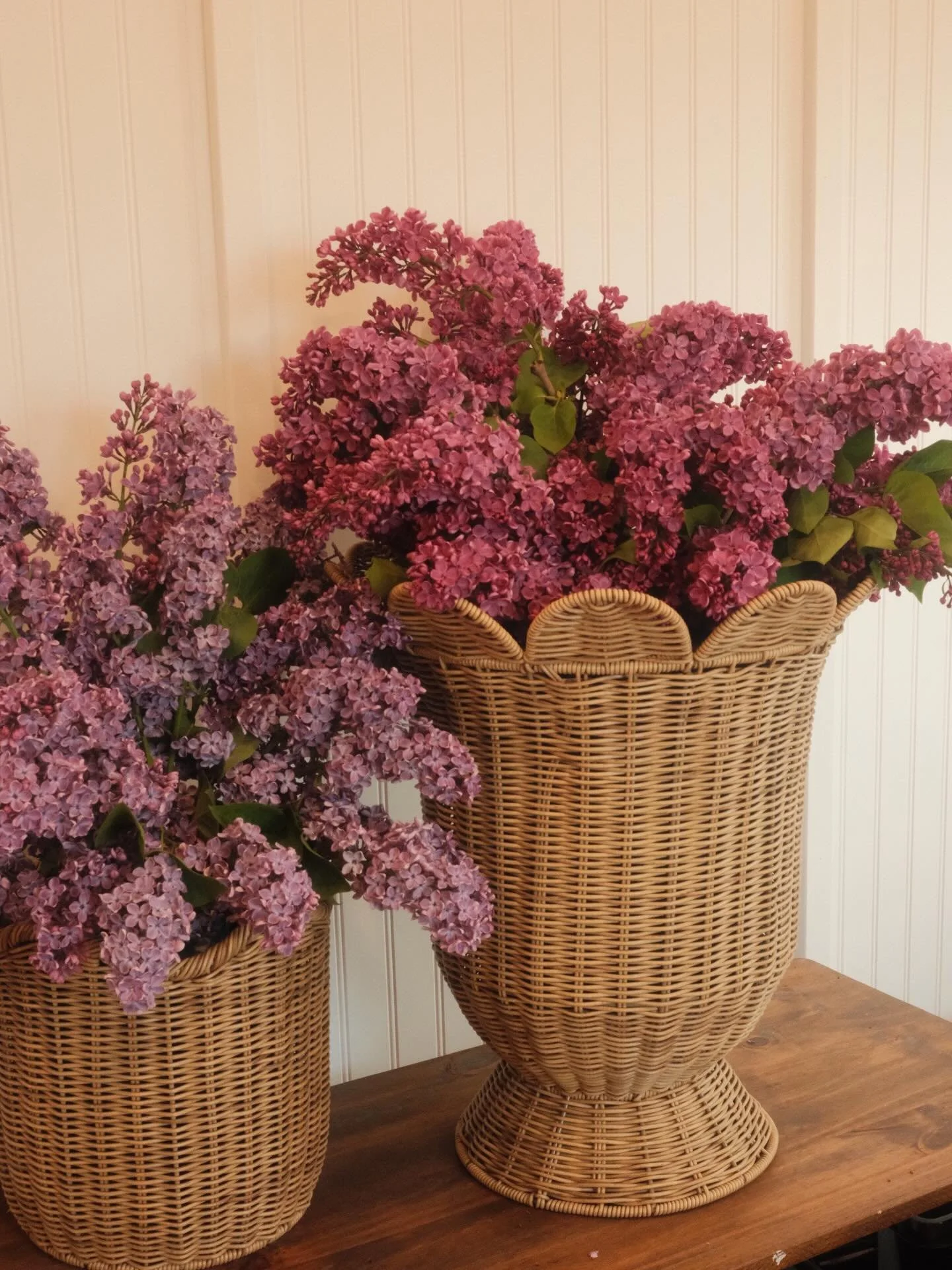 Lilacs bring me so much joy. I love working with flowers in the garden, and even though lilacs don&rsquo;t last very long, the feeling their scent brings more than makes up for!