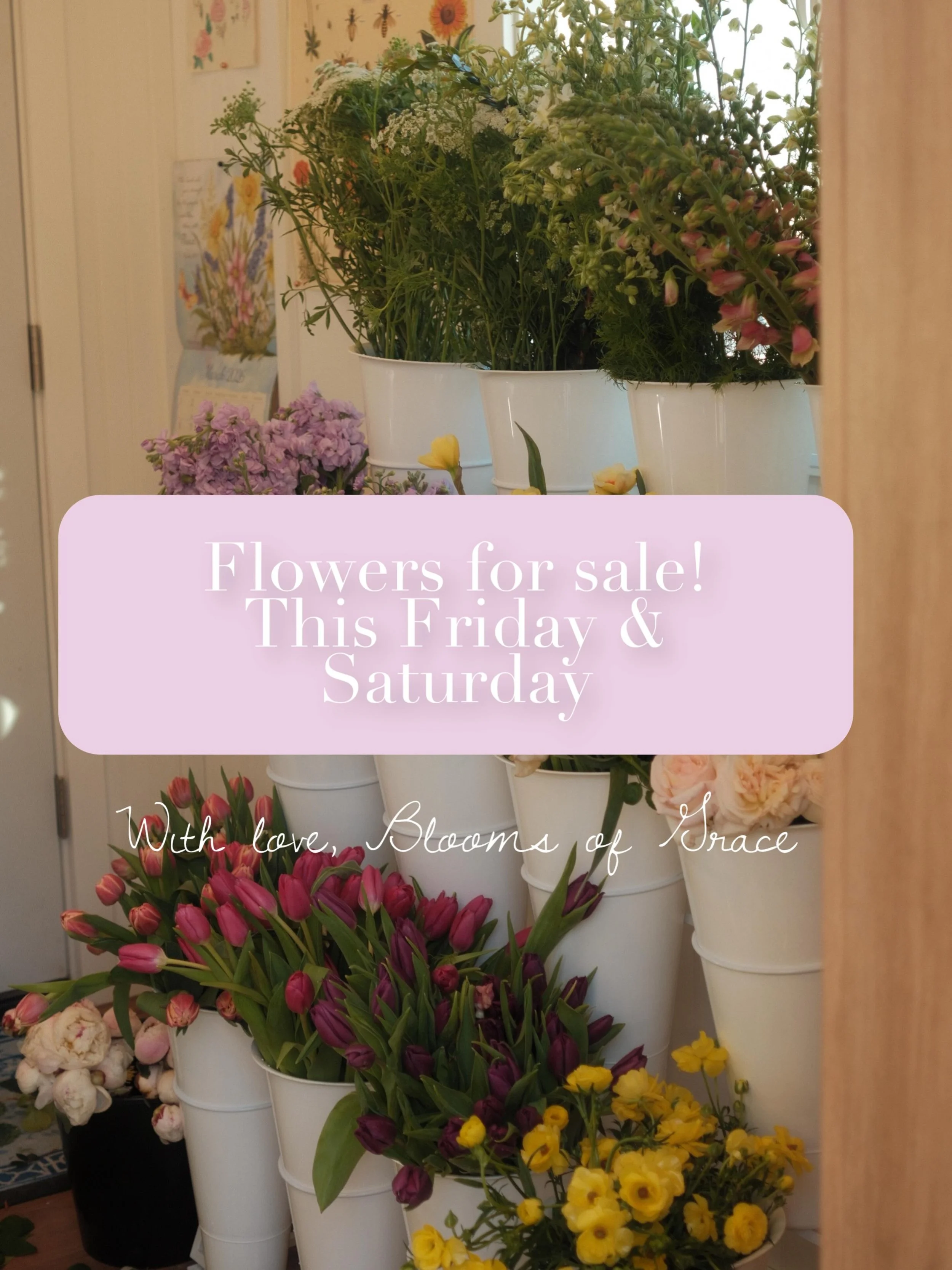 This Friday and Saturday- the 12th &amp; 13th! Flowers will be for sale from 9:00am-7:00pm