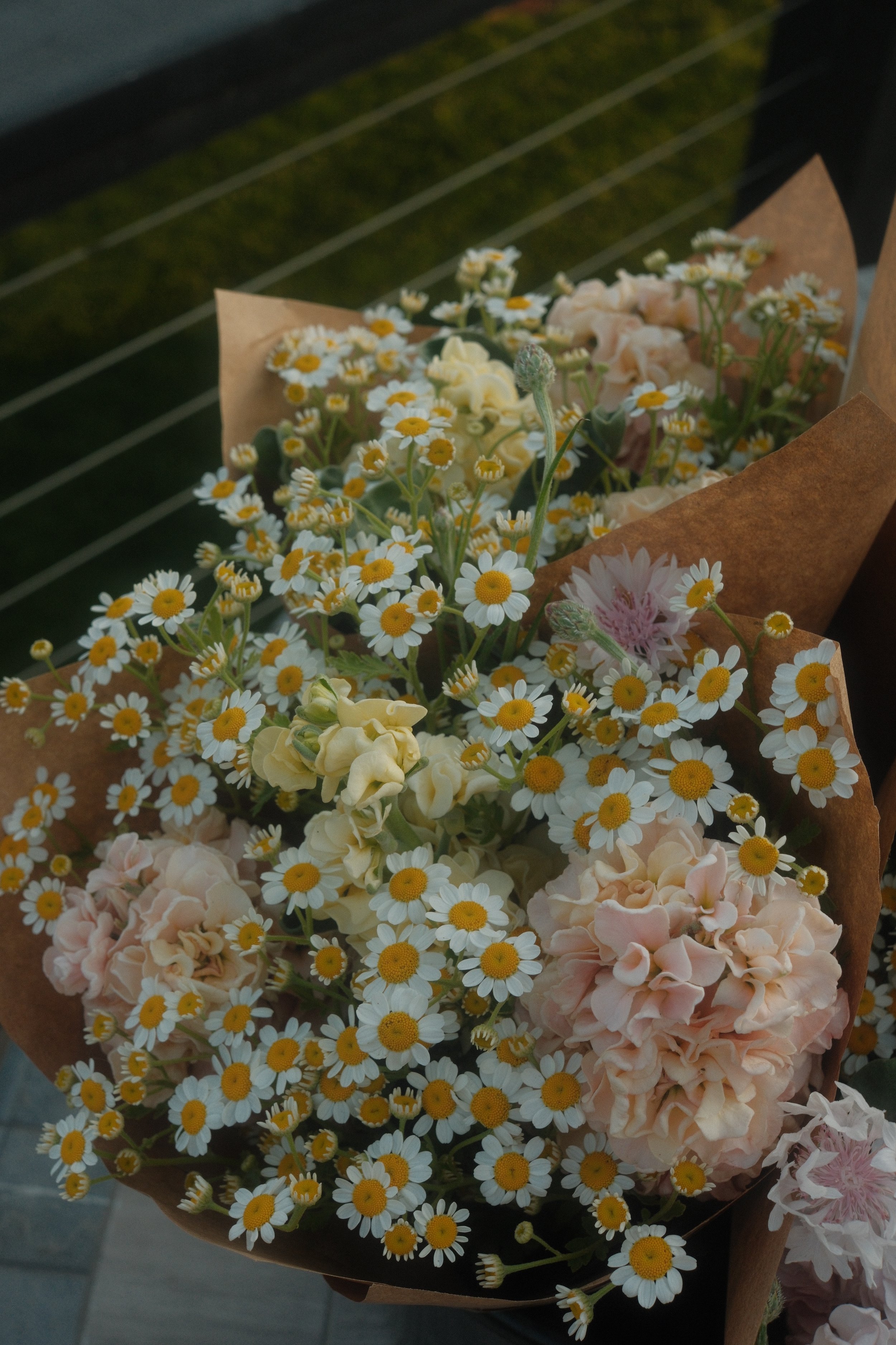 Bouquet of white daisies, pale pink hydrangeas, and other small flowers wrapped in brown paper.