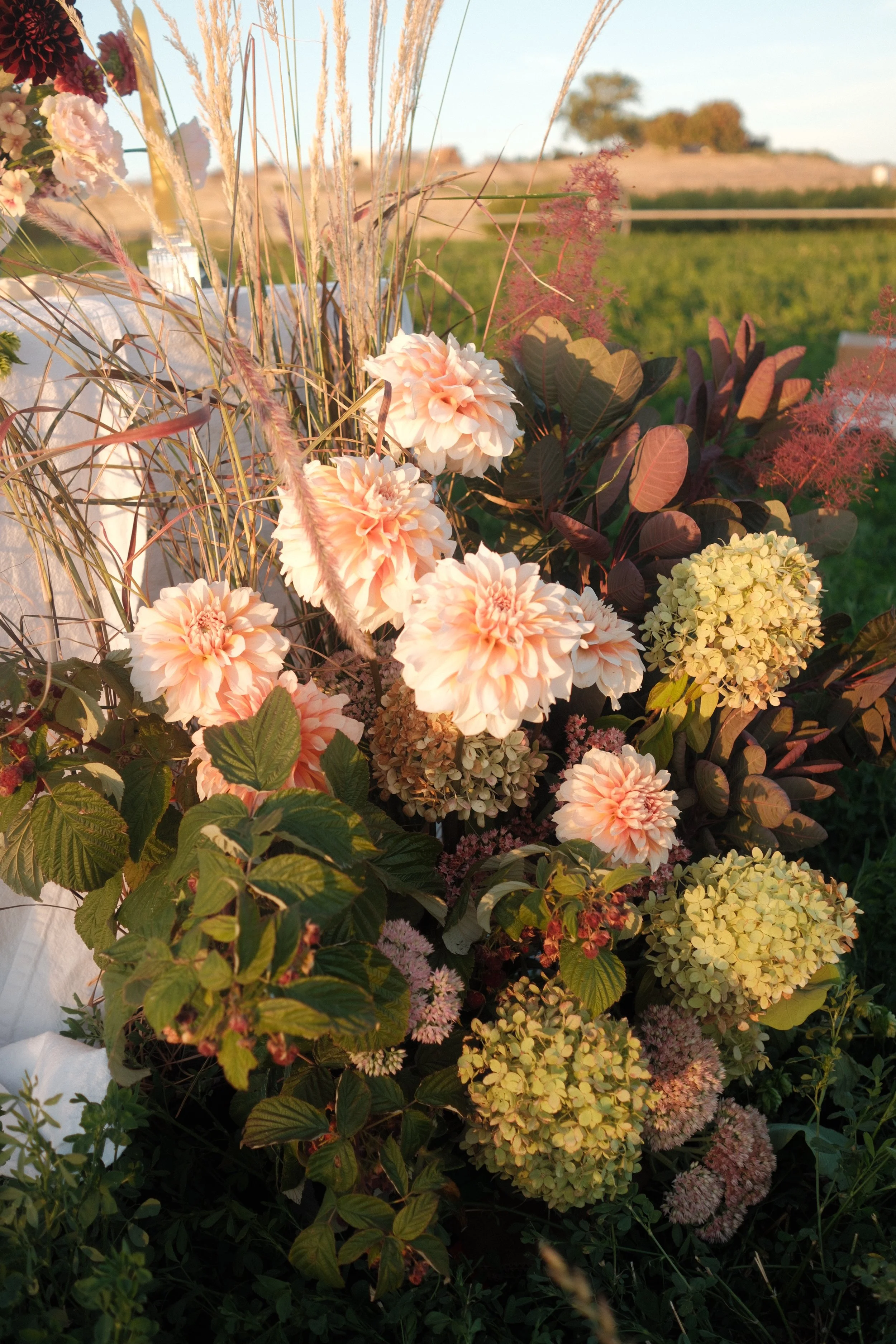 DSCF4210 2.JPG