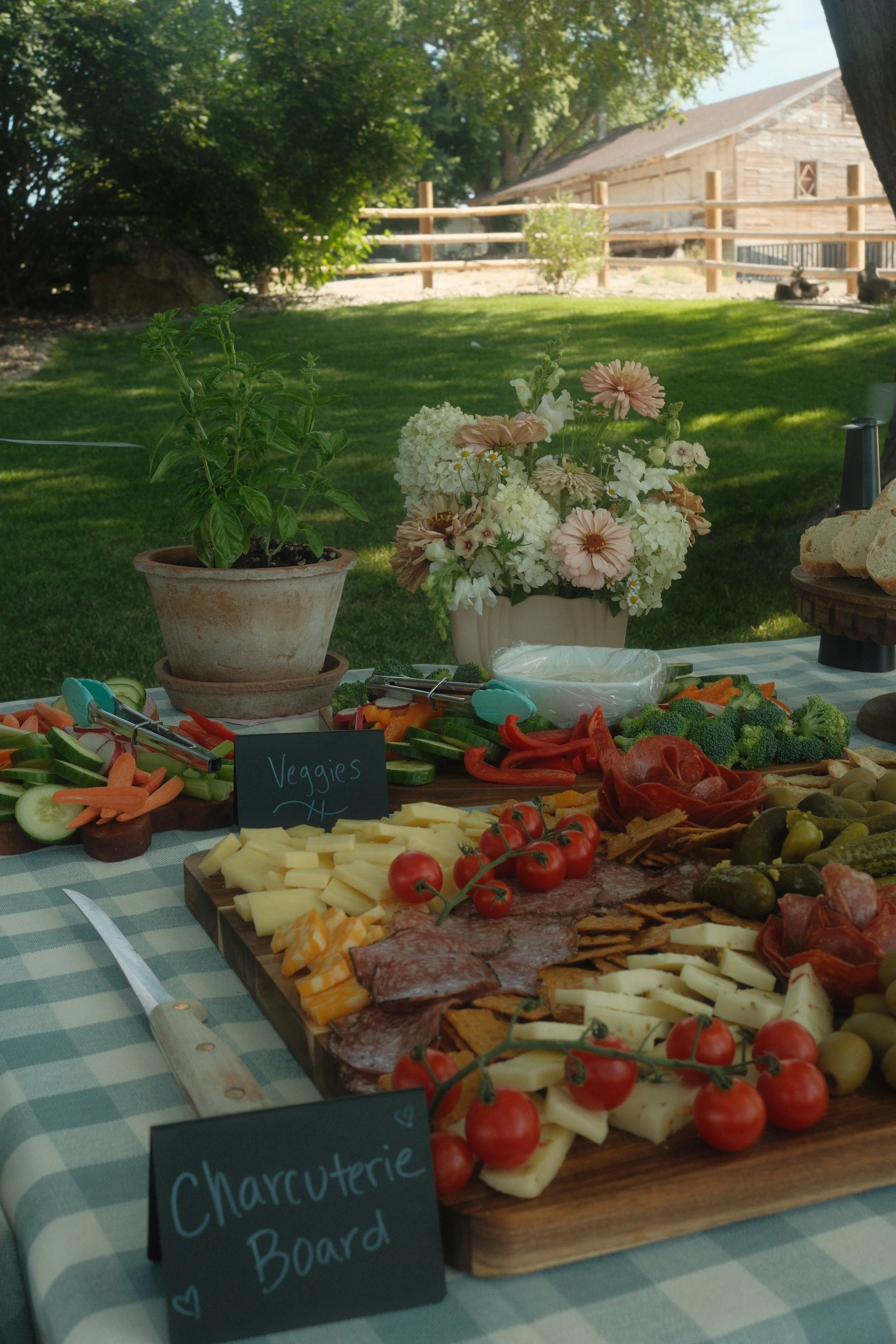 Outdoor snack table with cheese, vegetables, and charcuterie, decorated with potted herbs and flowers, on a green and white checkered tablecloth in a backyard setting.