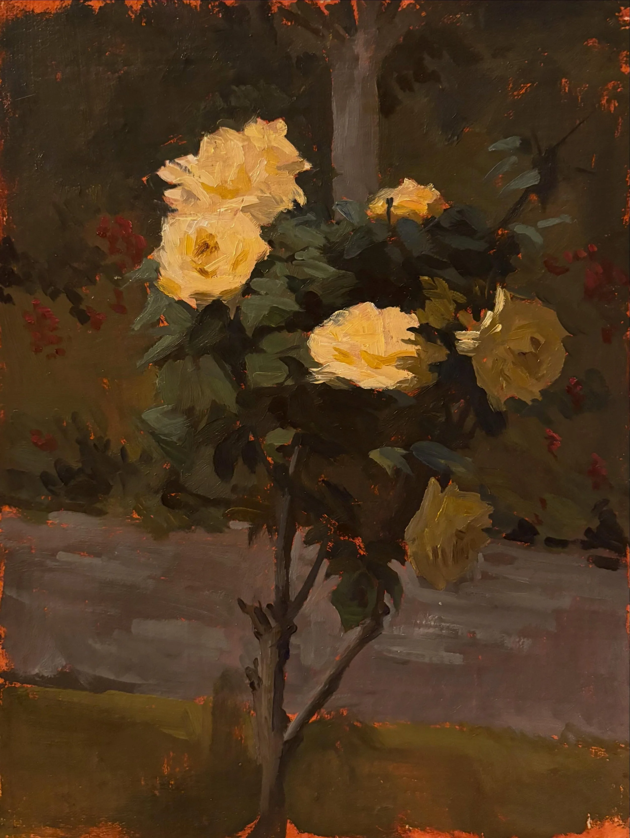 De Beauvoir Roses III, oil on panel, 7&rdquo; x 9&rdquo;

#oilpainting #flowerpainting #oilpaint #pleinairpainting #roses