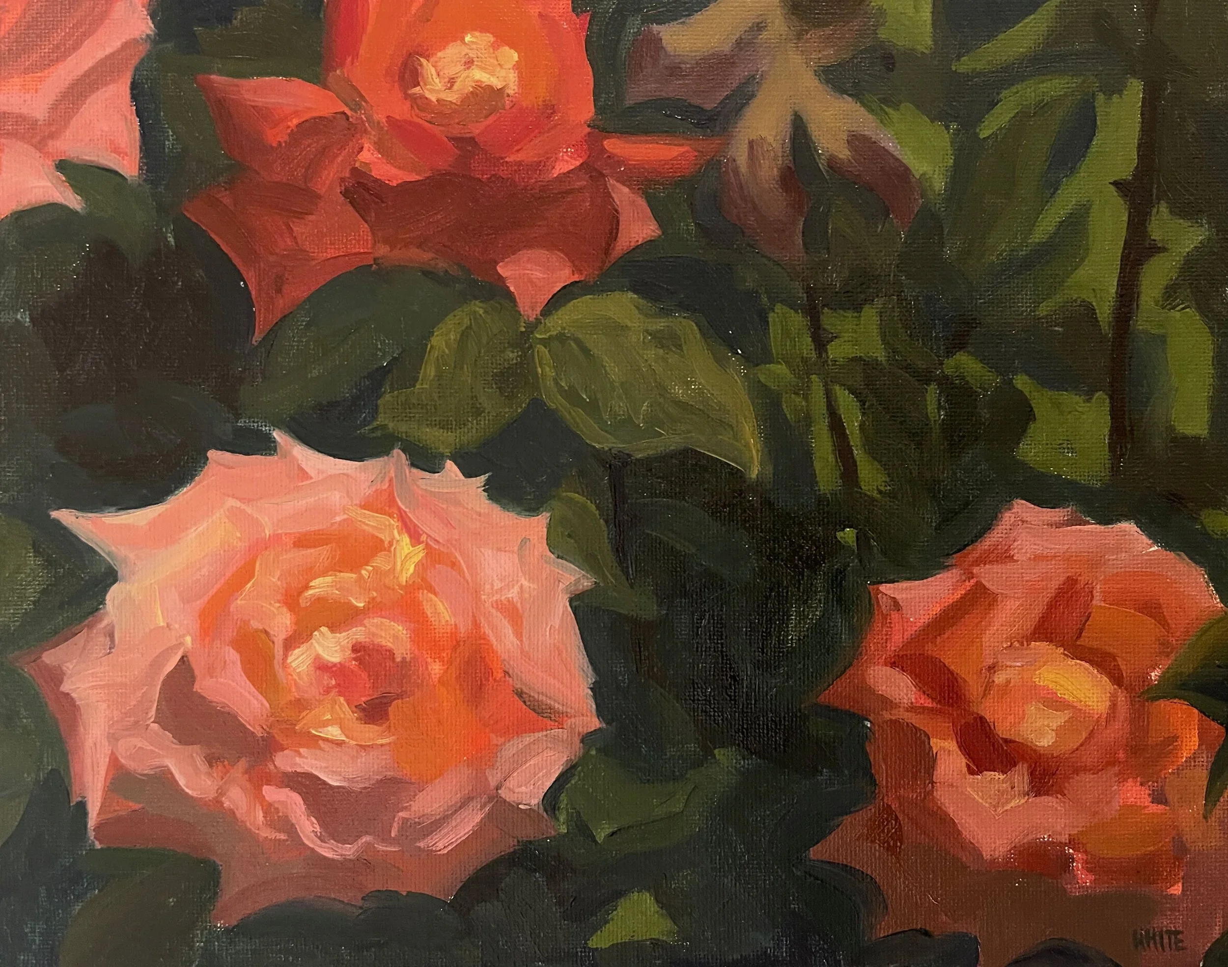 De Beauvoir Roses II - Oil on panel