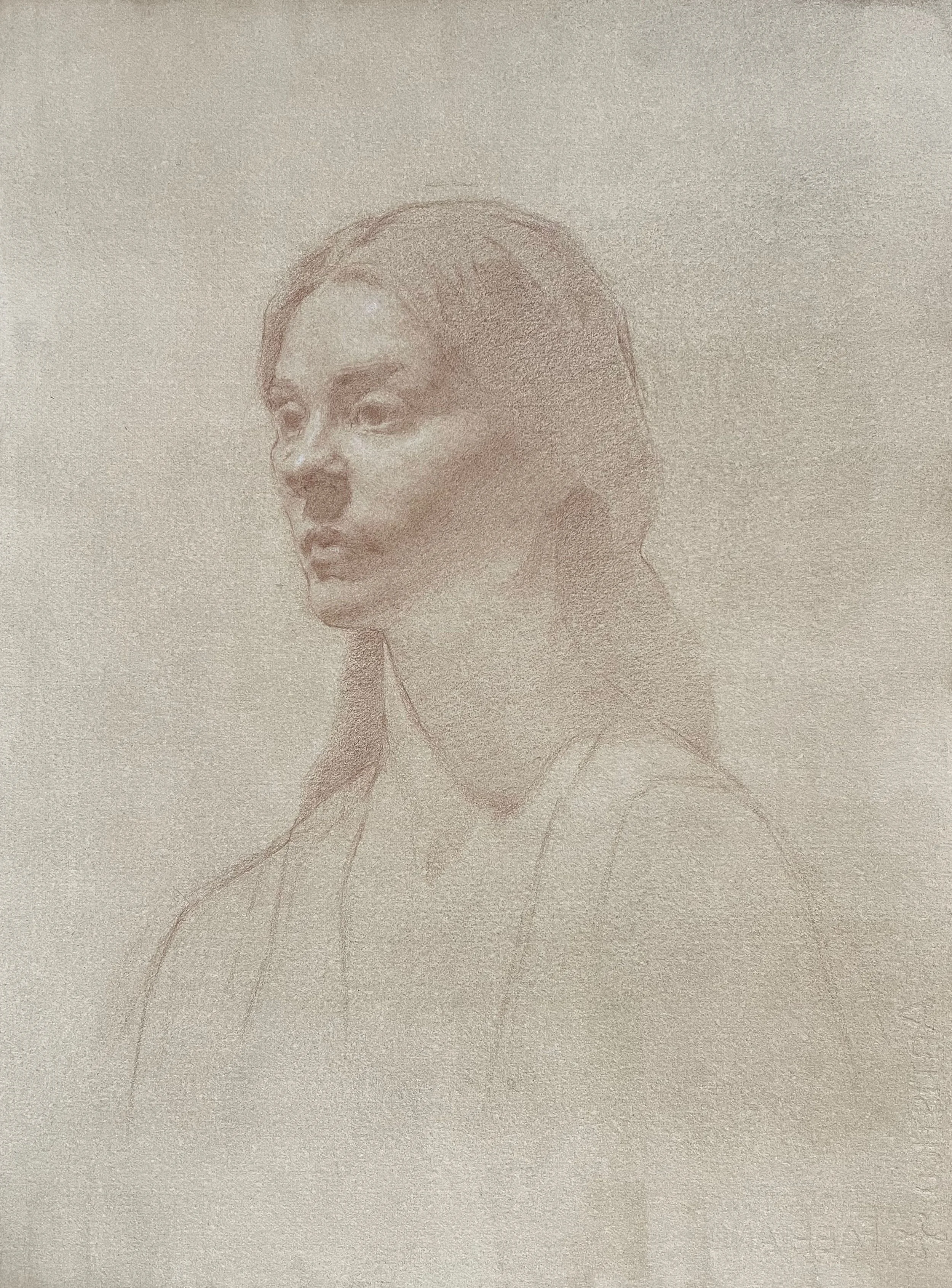 Violet - Sepia pencil on toned paper