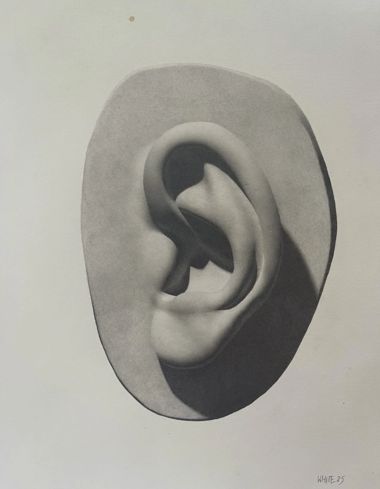 David's Ear Cast - Graphite on paper