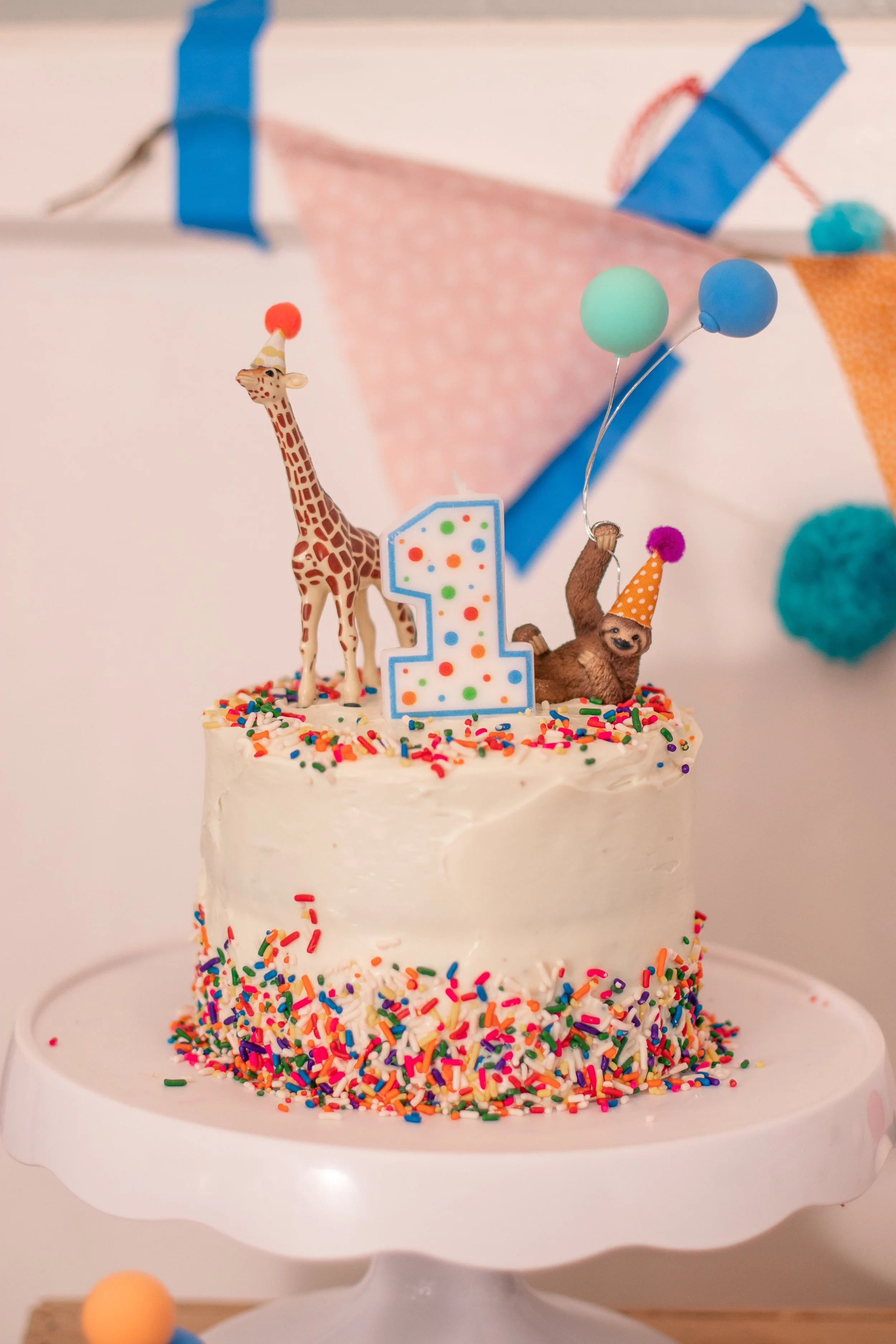 partyanimalbirthday4.jpg
