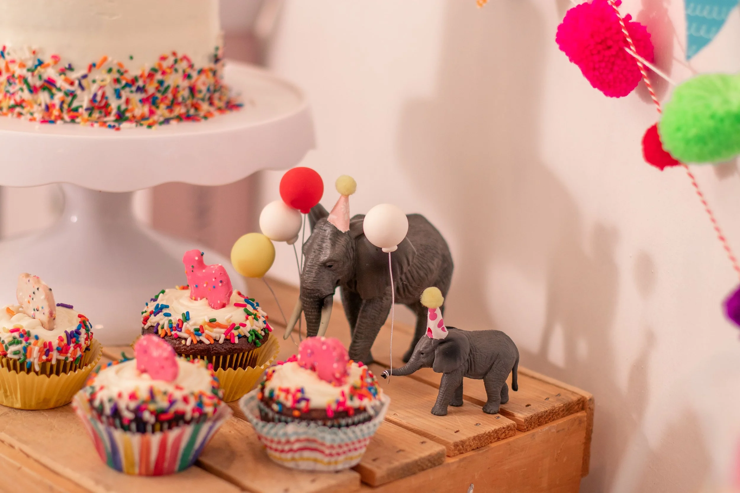 partyanimalbirthday6.jpg