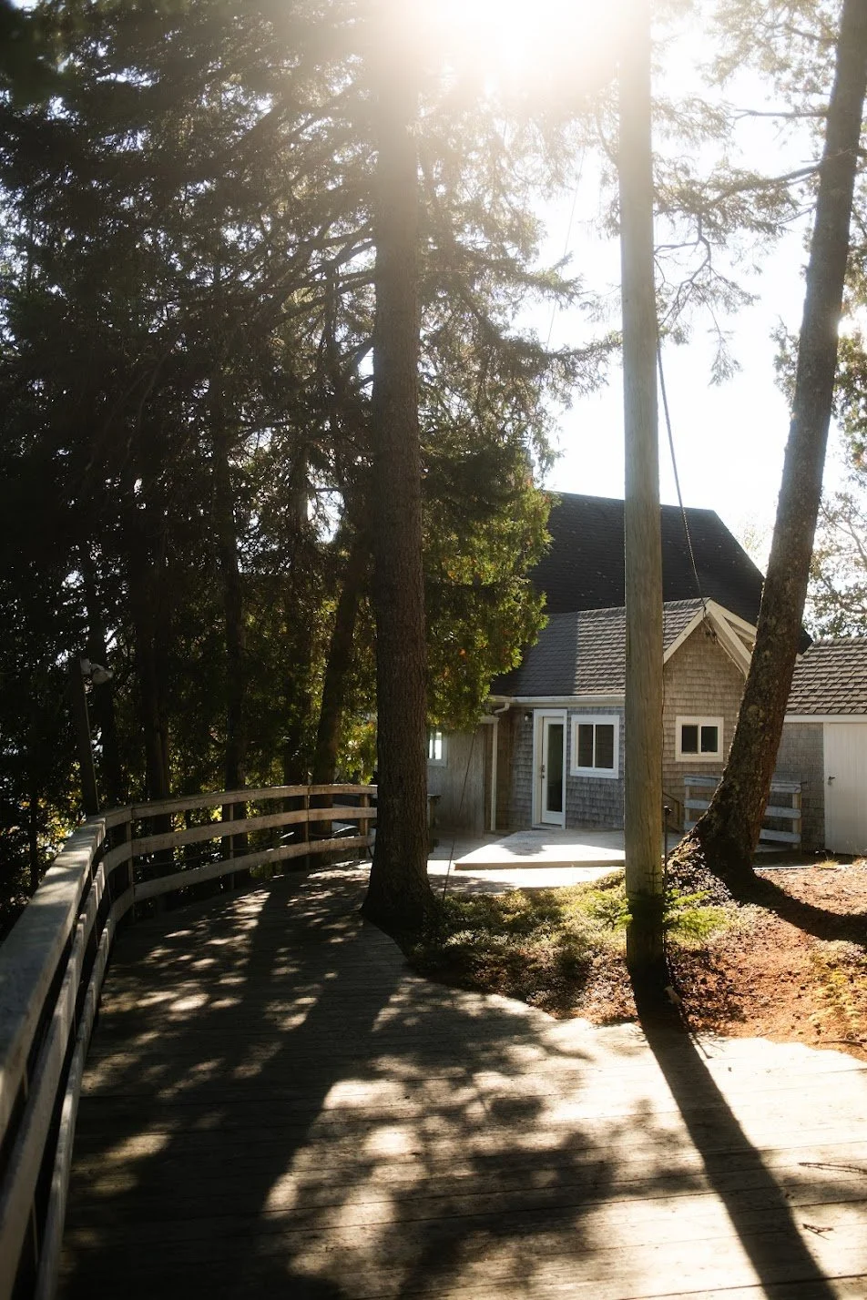 A wooden deck with railings, trees providing shade, a house with a grey shingle exterior and white trim, and a power line with sunlight filtering through the trees.