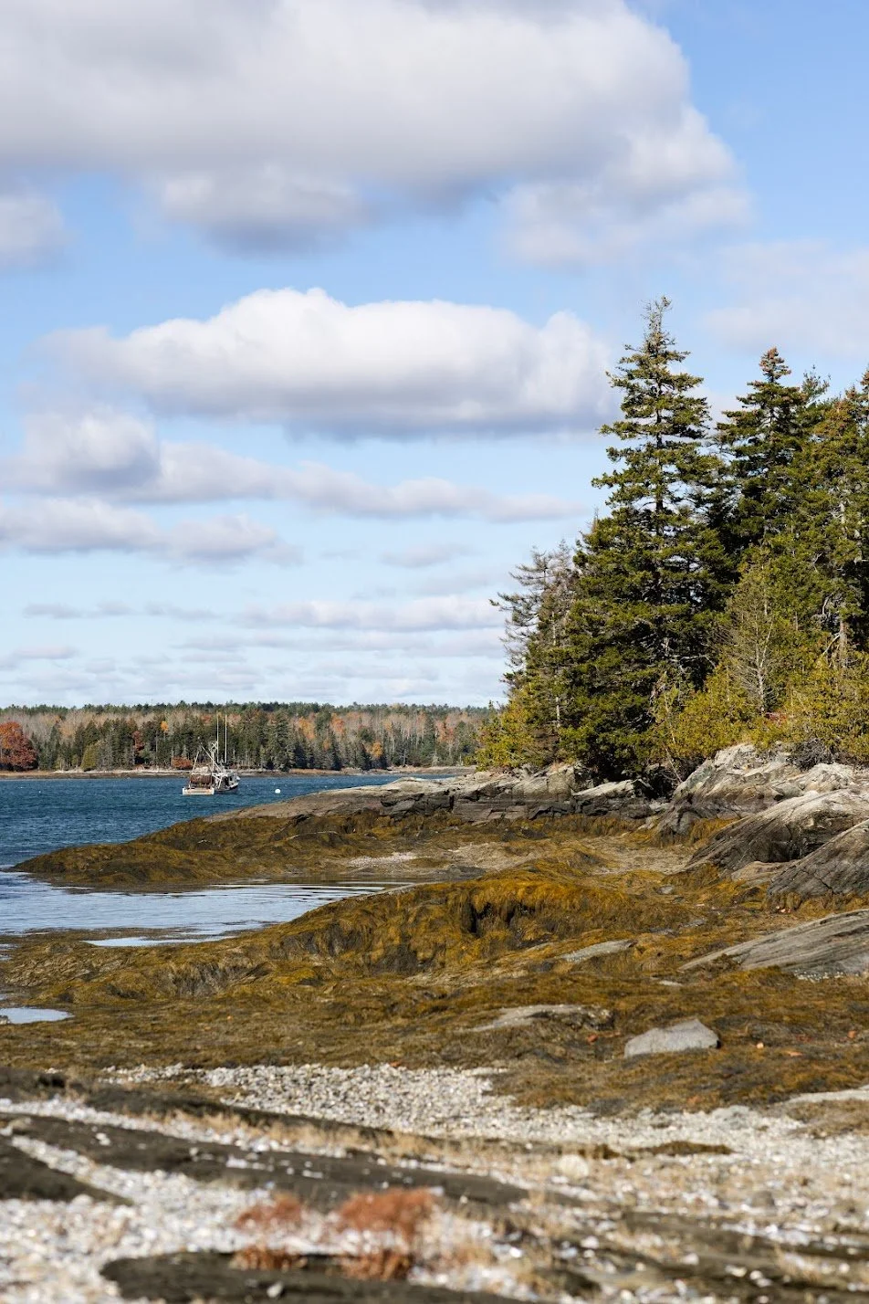 Scenic view of rocky shoreline with evergreen trees, a boat on the water, and a cloudy sky.