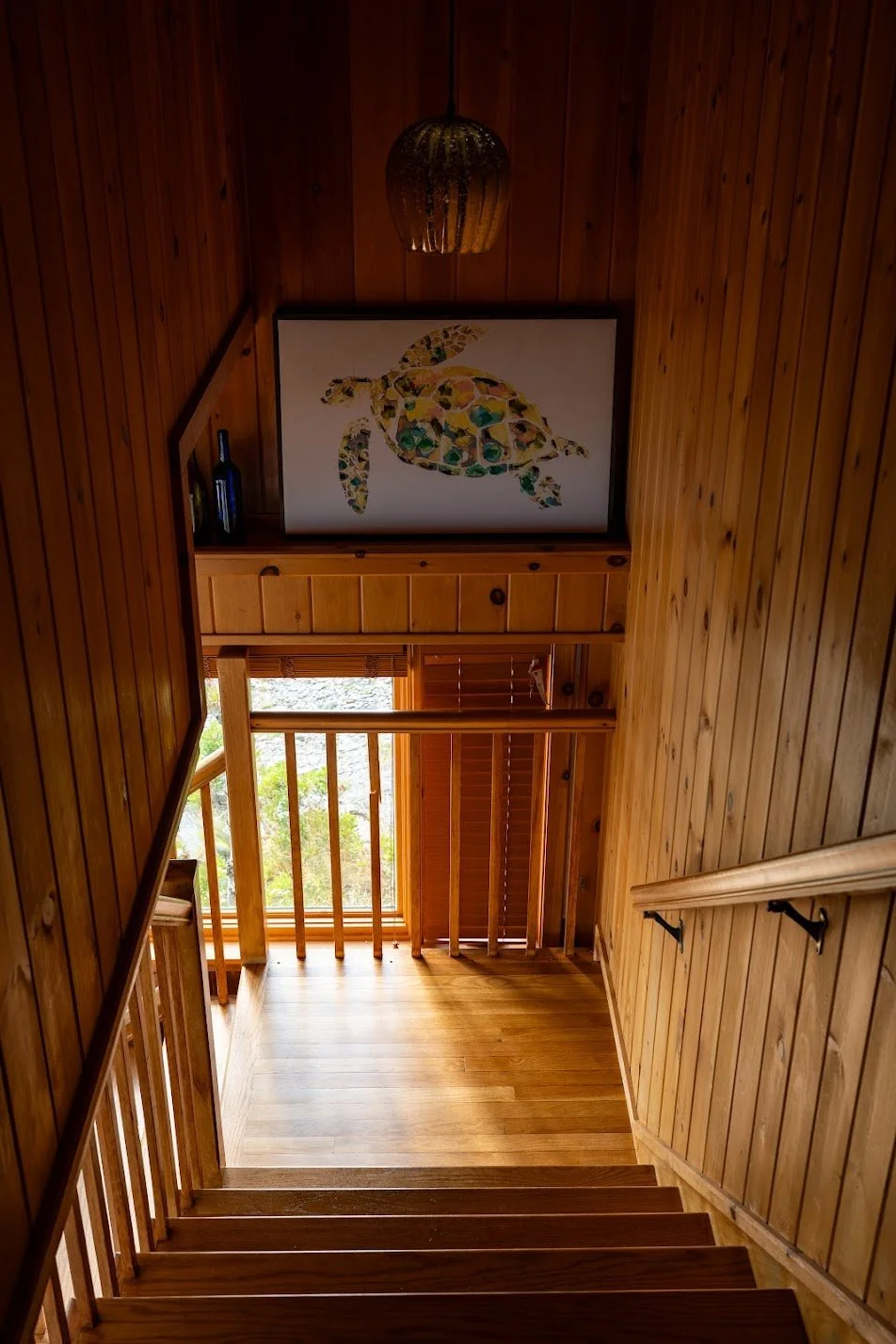 Wood-paneled staircase descending to a landing with a large window, framed turtle artwork above, and a decorative lamp hanging from the ceiling.