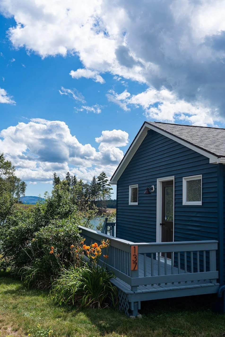 A blue house with a small porch on a sunny day, surrounded by green bushes and orange flowers, with a partly cloudy sky and trees in the background.