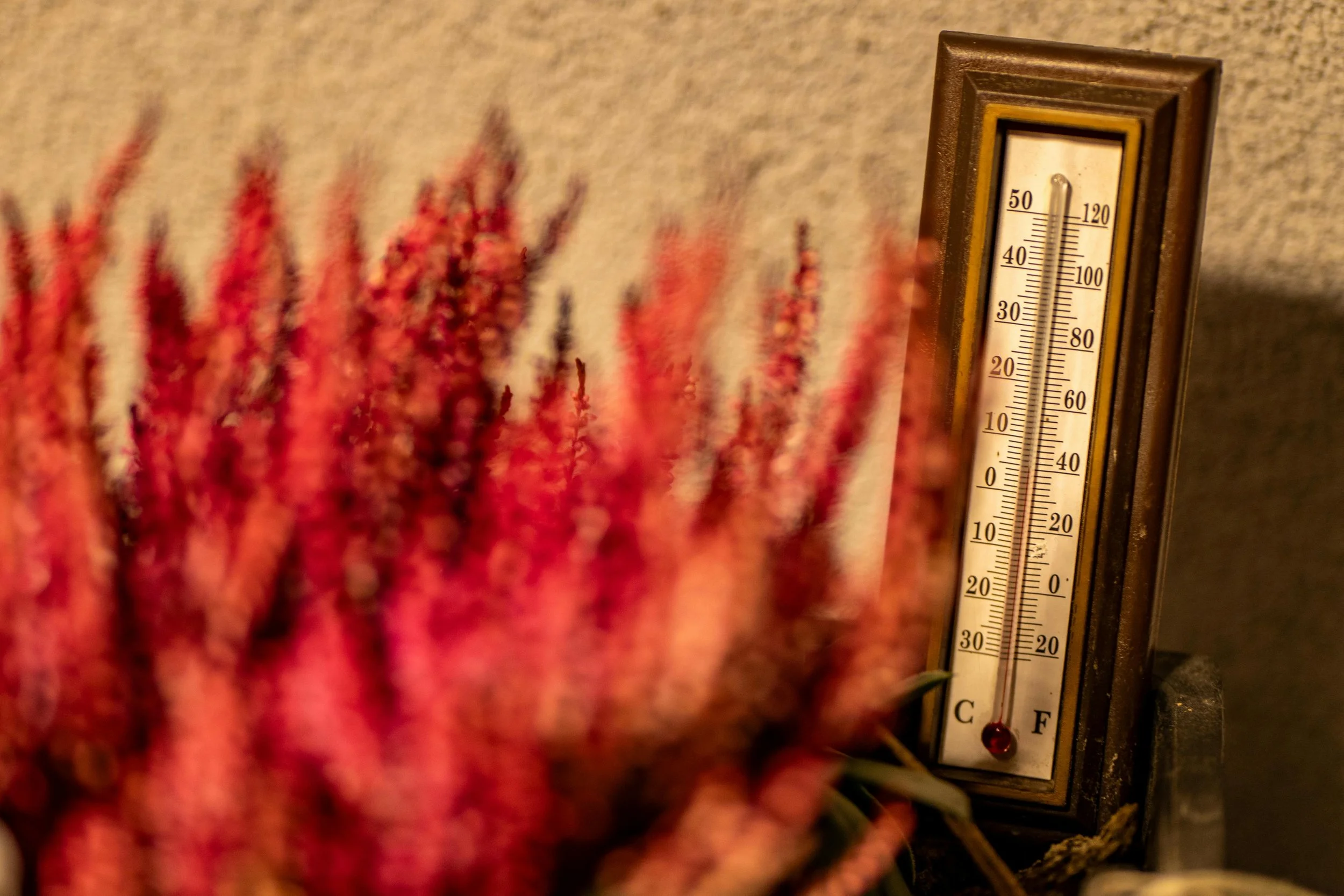Sixty-five Degrees