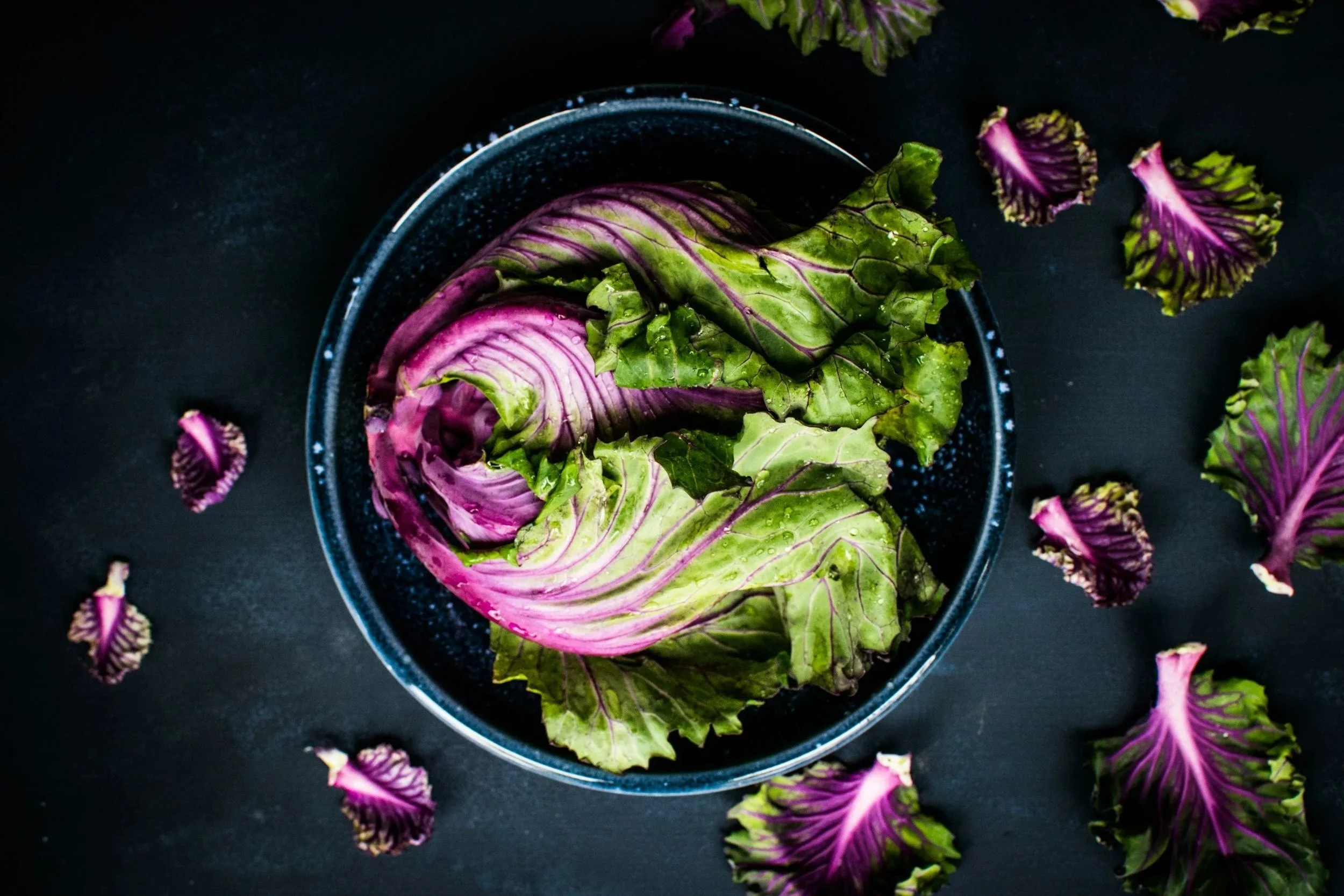 Fresh purple and green lettuce leaves in a black bowl, with additional torn leaves scattered around on a dark background.