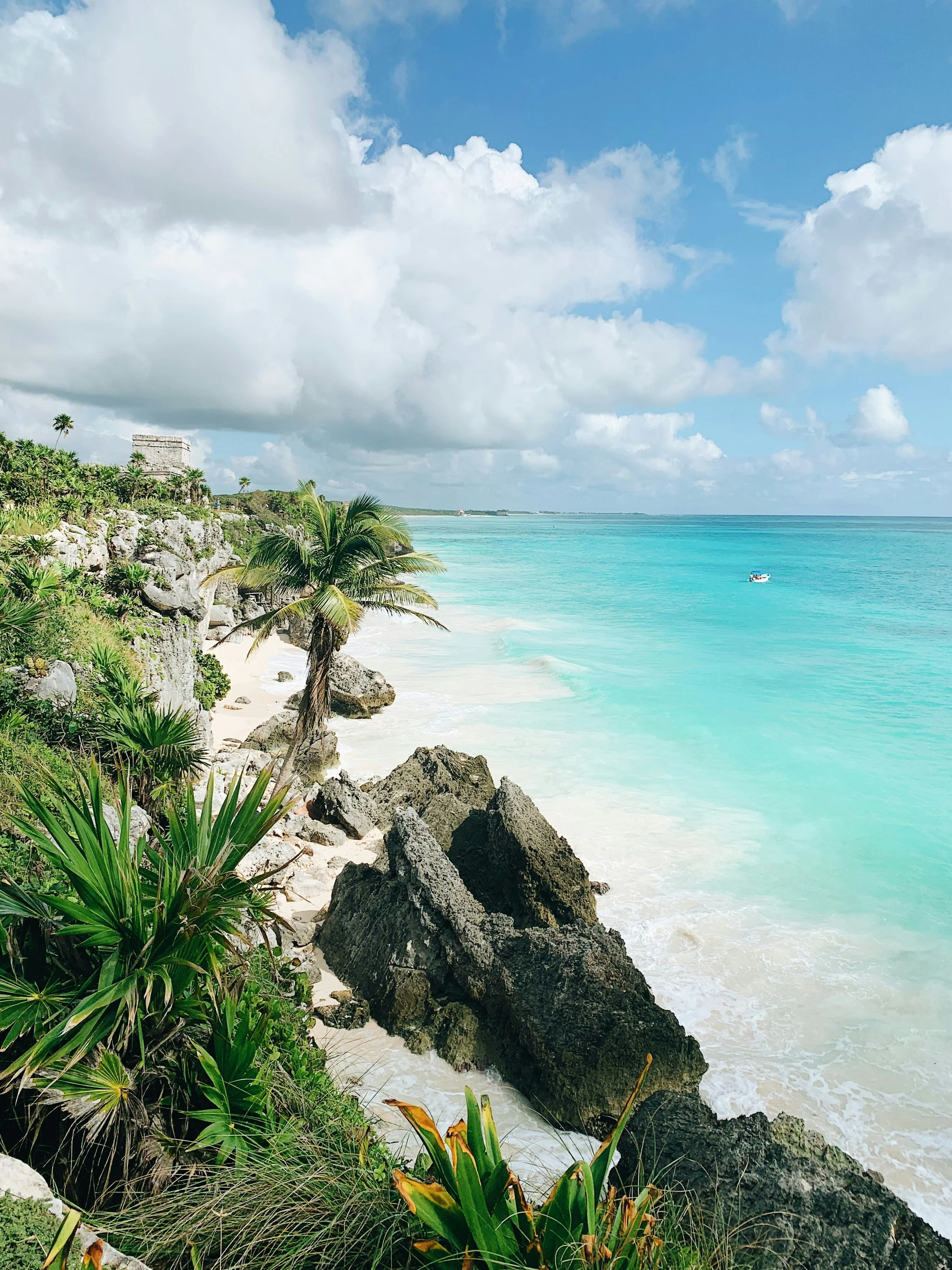 Tropical beach with turquoise water, rocky shoreline, palm trees, lush green foliage, partly cloudy sky, and a small boat in the distance.