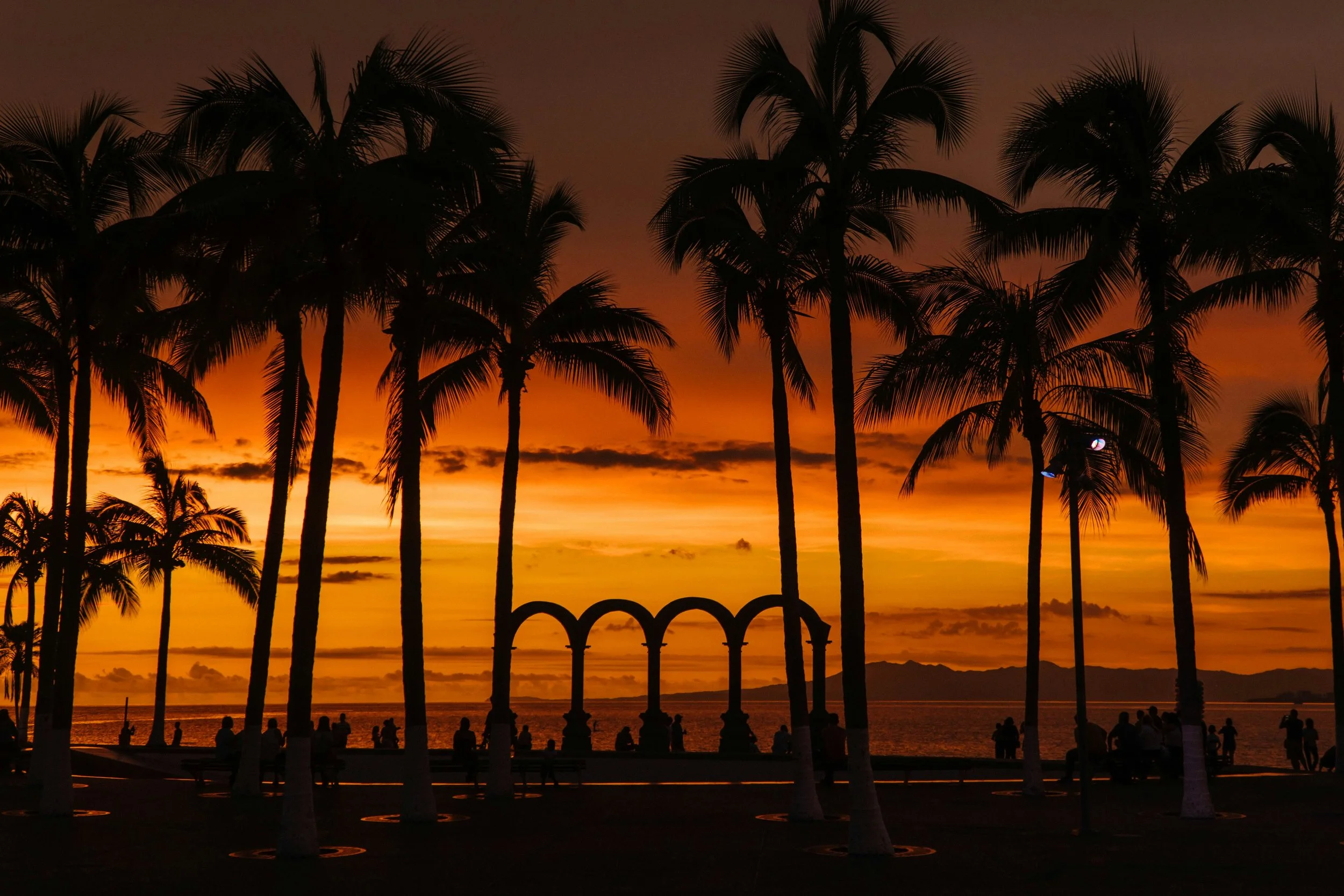 Silhouettes of tall palm trees along a waterfront promenade during a vibrant orange sunset, with people walking and sitting, and a distant mountain range on the horizon.