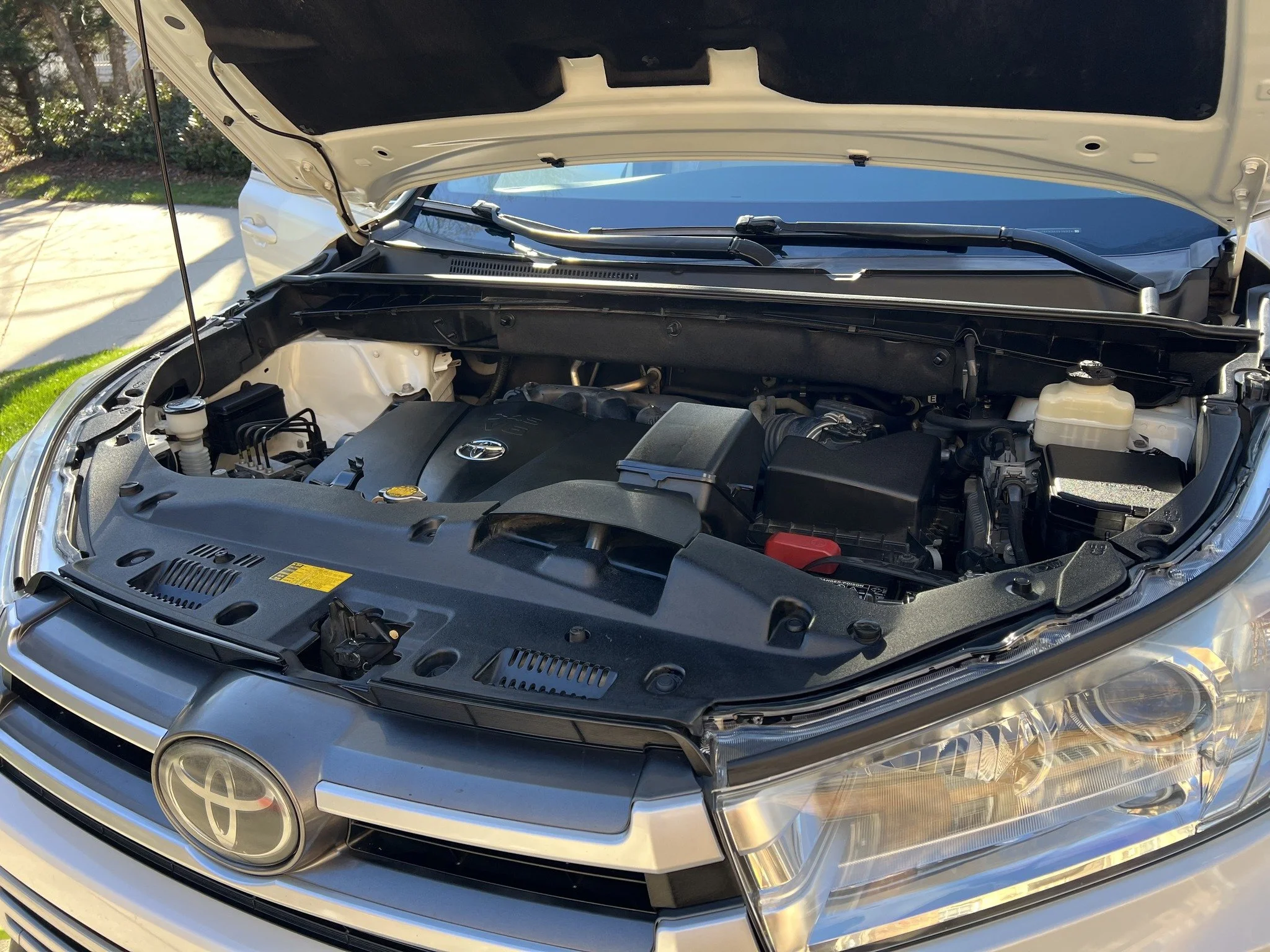 Engine Bay Detail