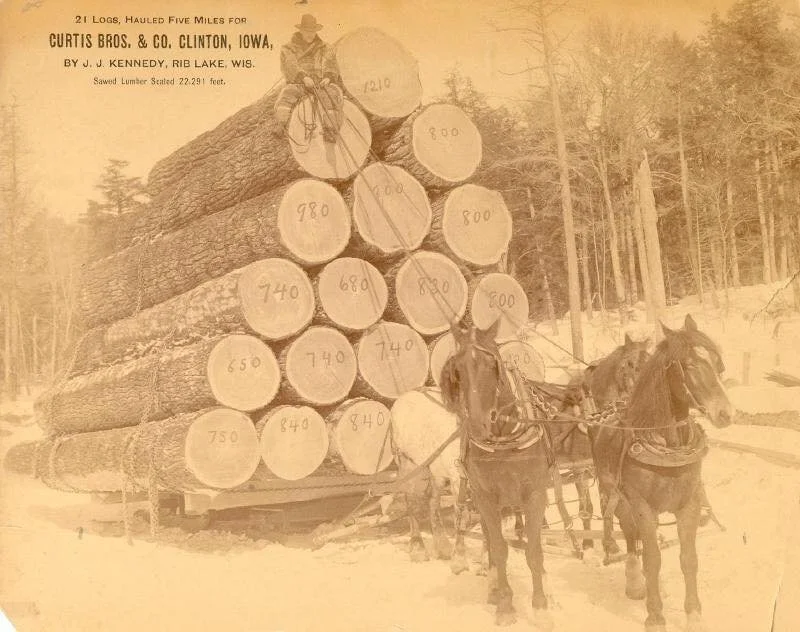 CM logs hauled.jpg