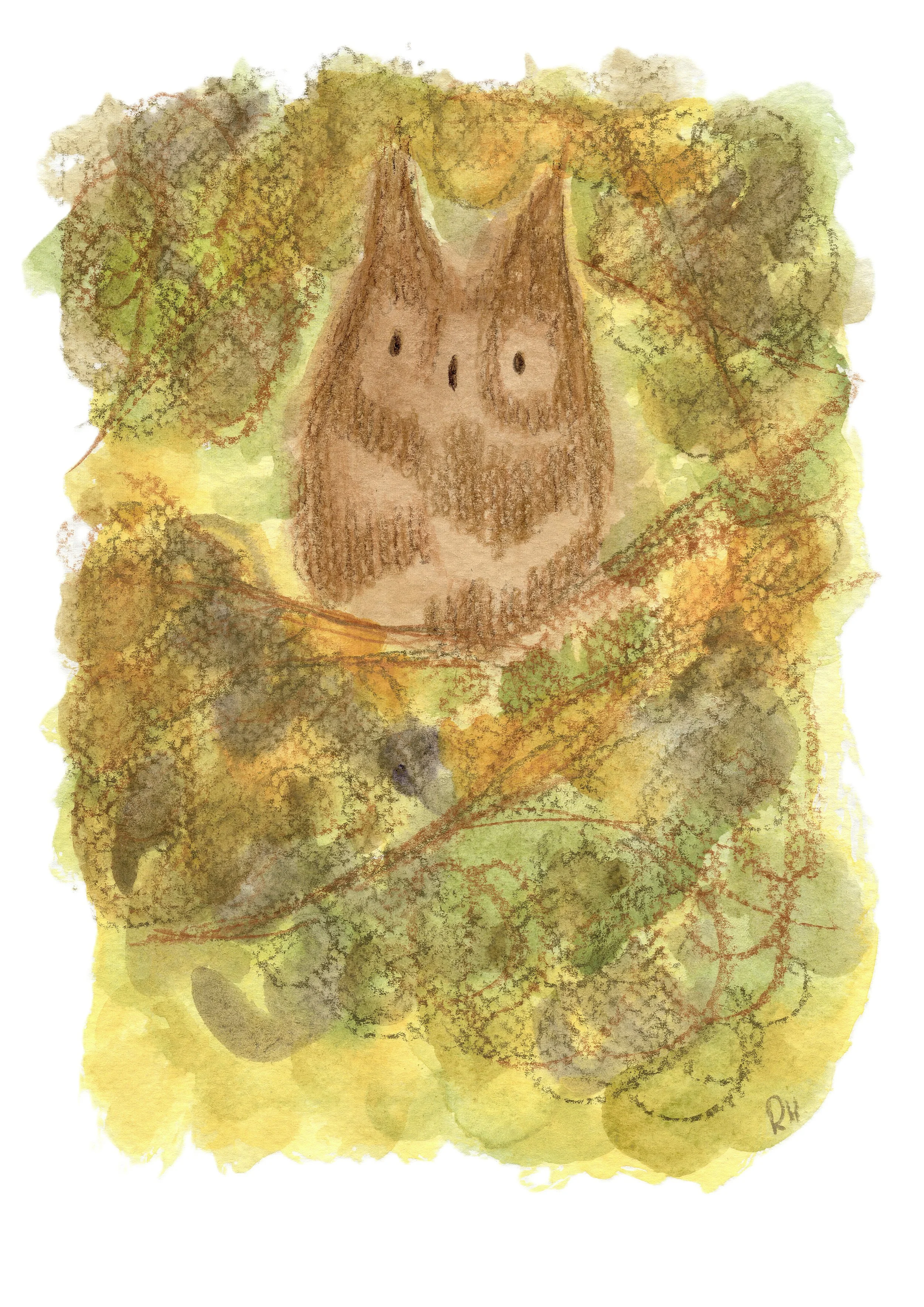 Print of "Gaze In The Moonlit Thicket"
