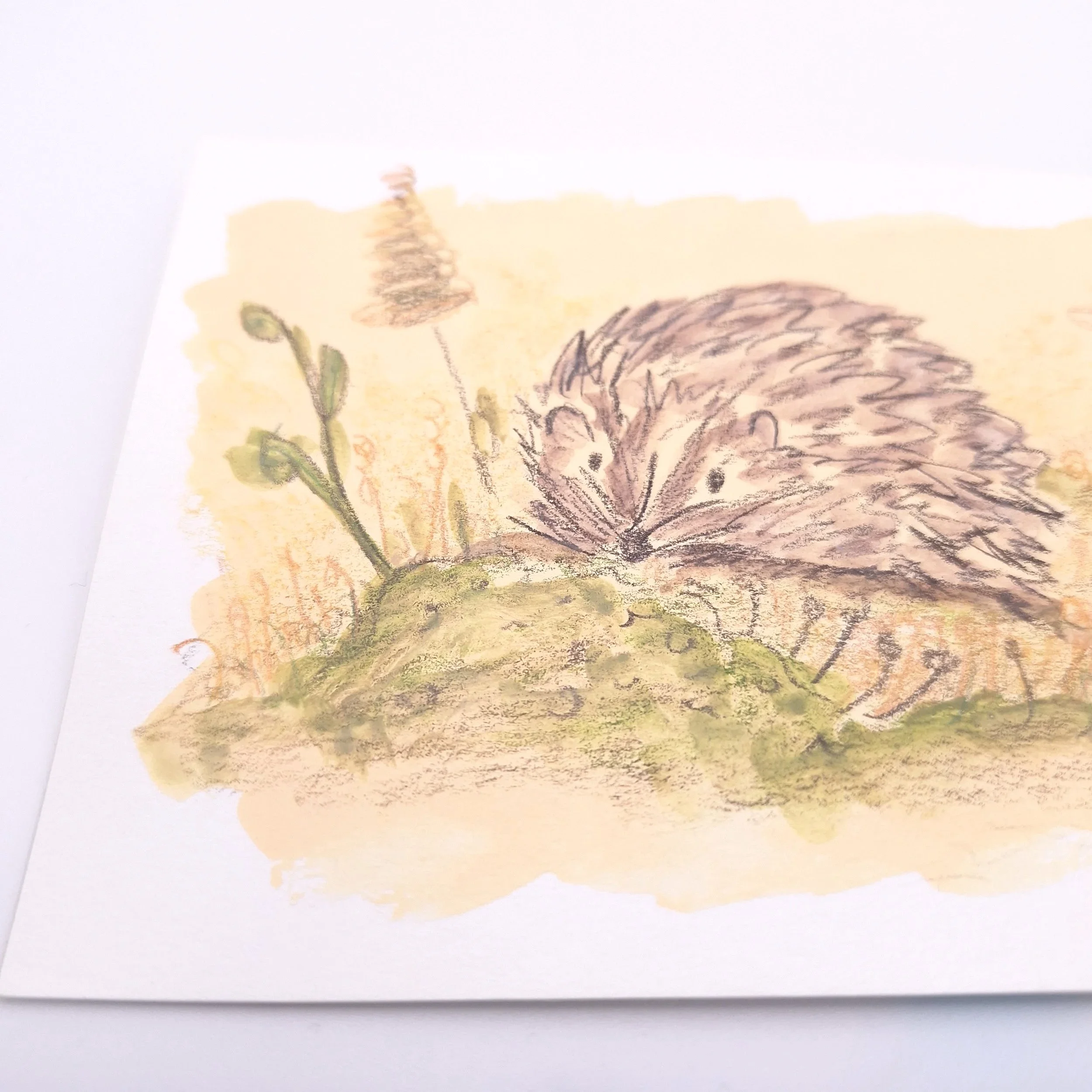 Nestled in the Meadow – Original - Rachel & Sarah