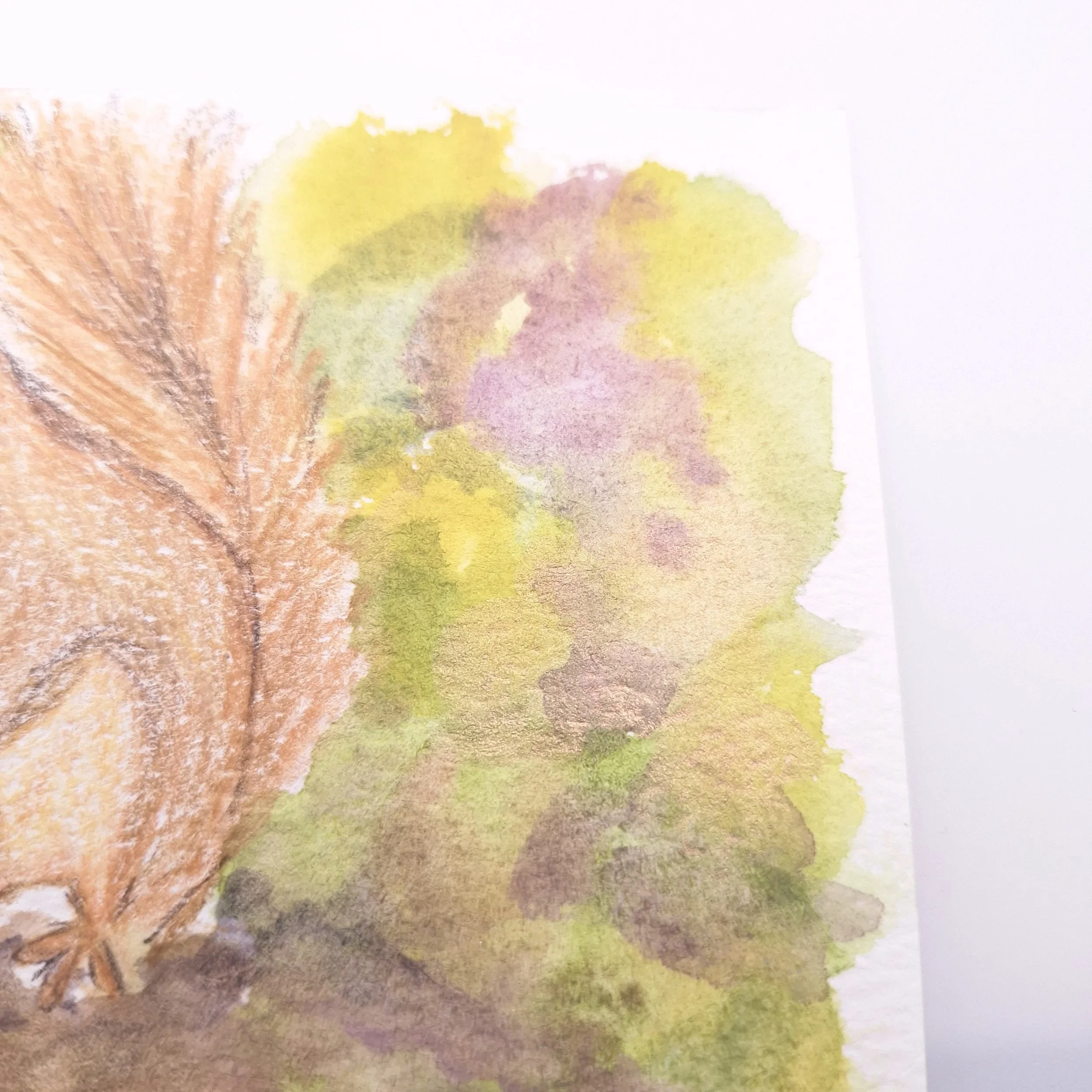 Forage in the Wild Patch – Original - Rachel & Sarah