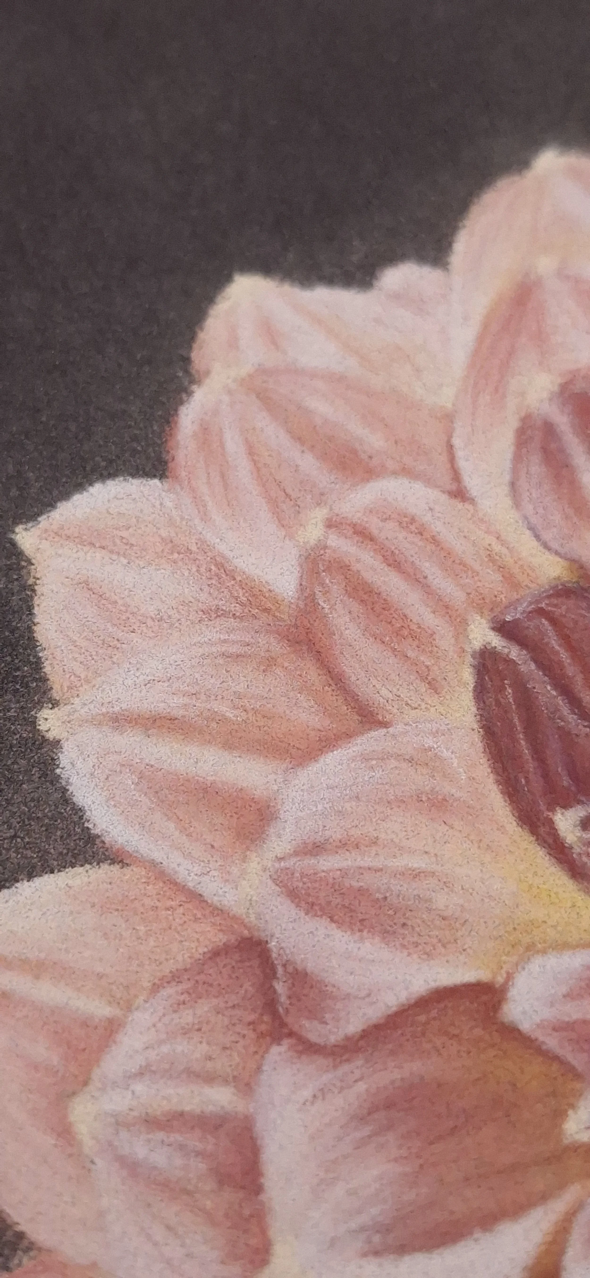 Delicate Whisper – Original - Rachel & Sarah