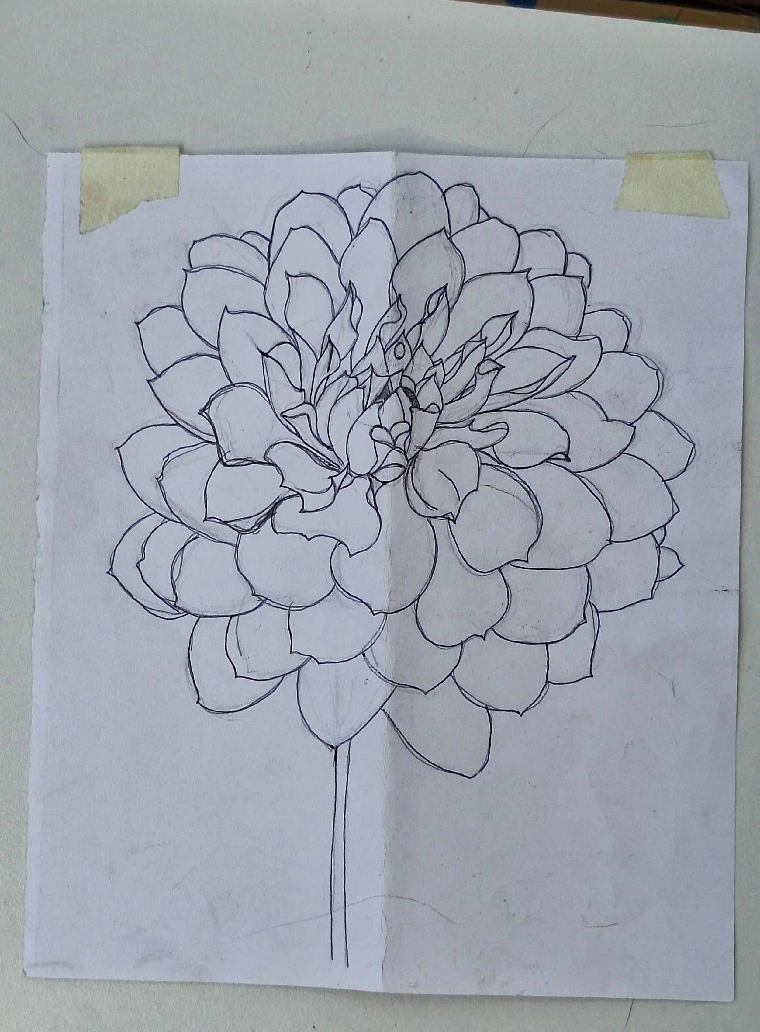 1000034470.jpg