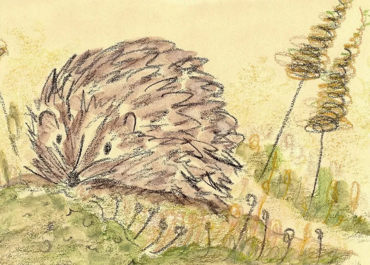 Print of "Nestled In The Meadow" - Rachel & Sarah